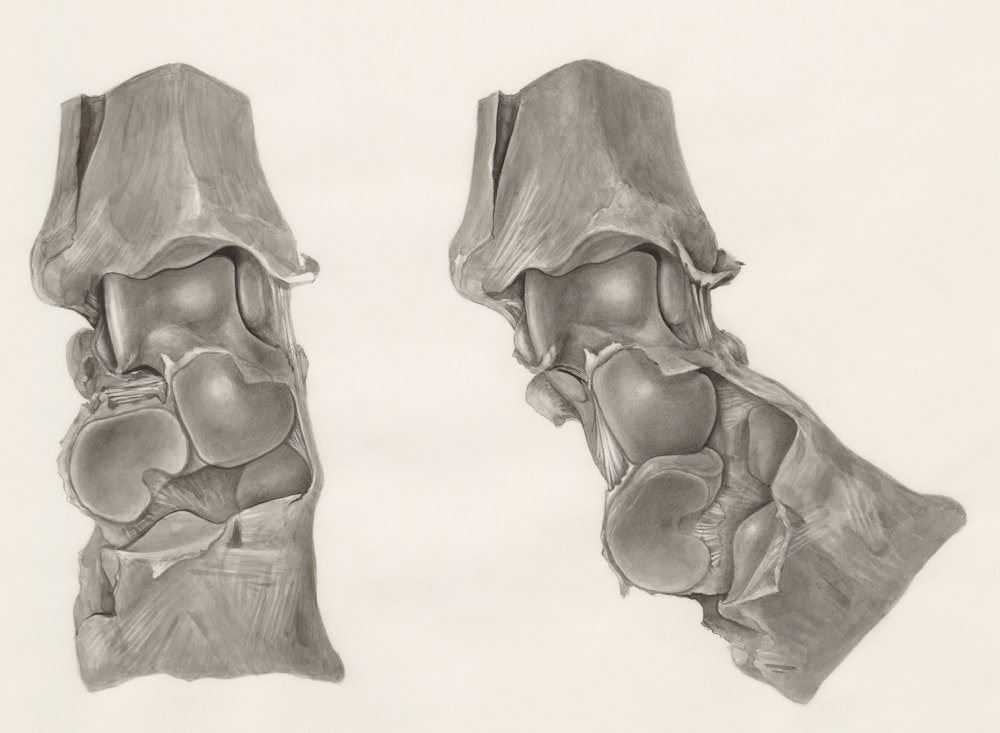 a drawing of a pair of knee pads