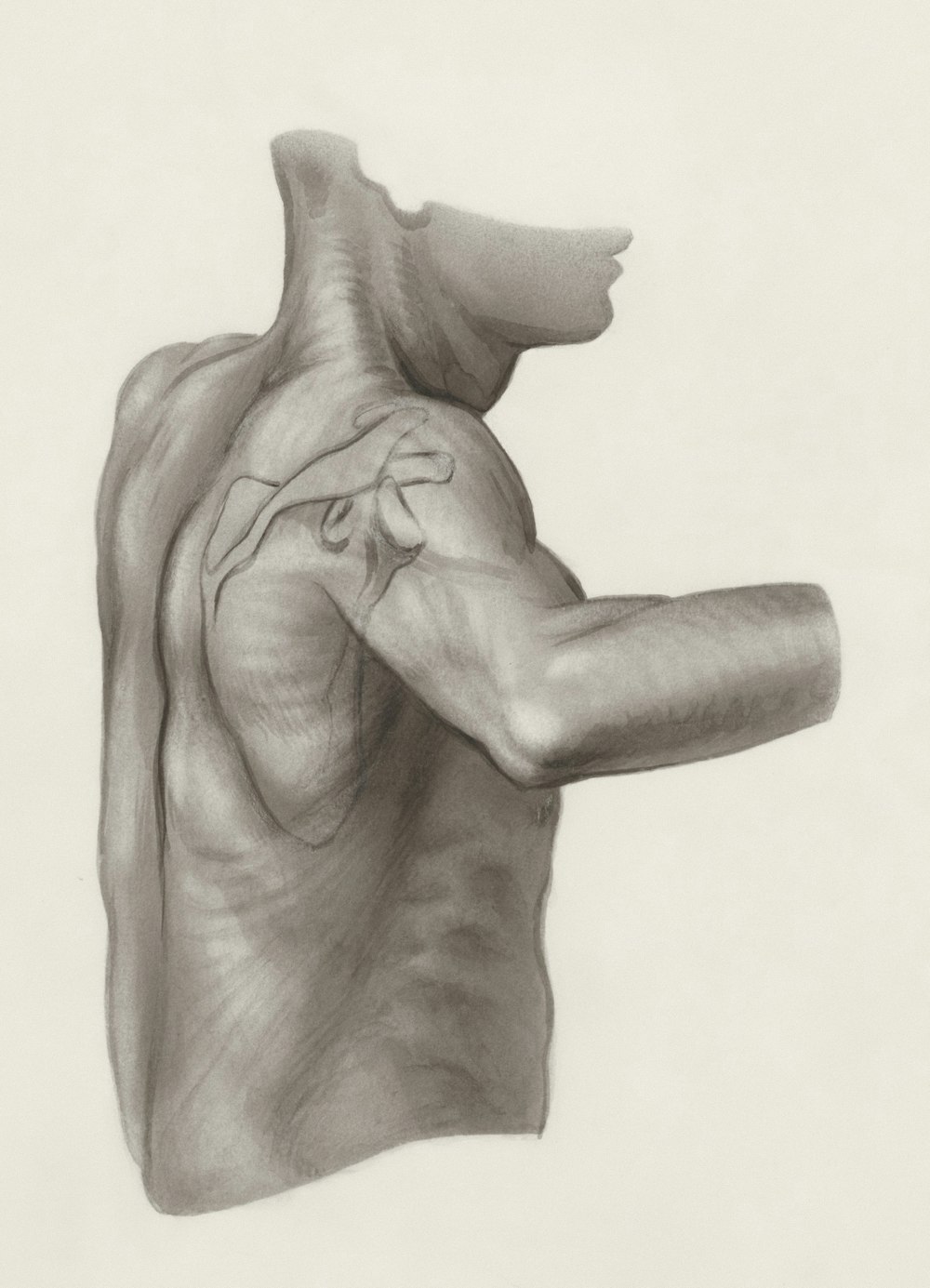 a drawing of a man's arm and shoulder