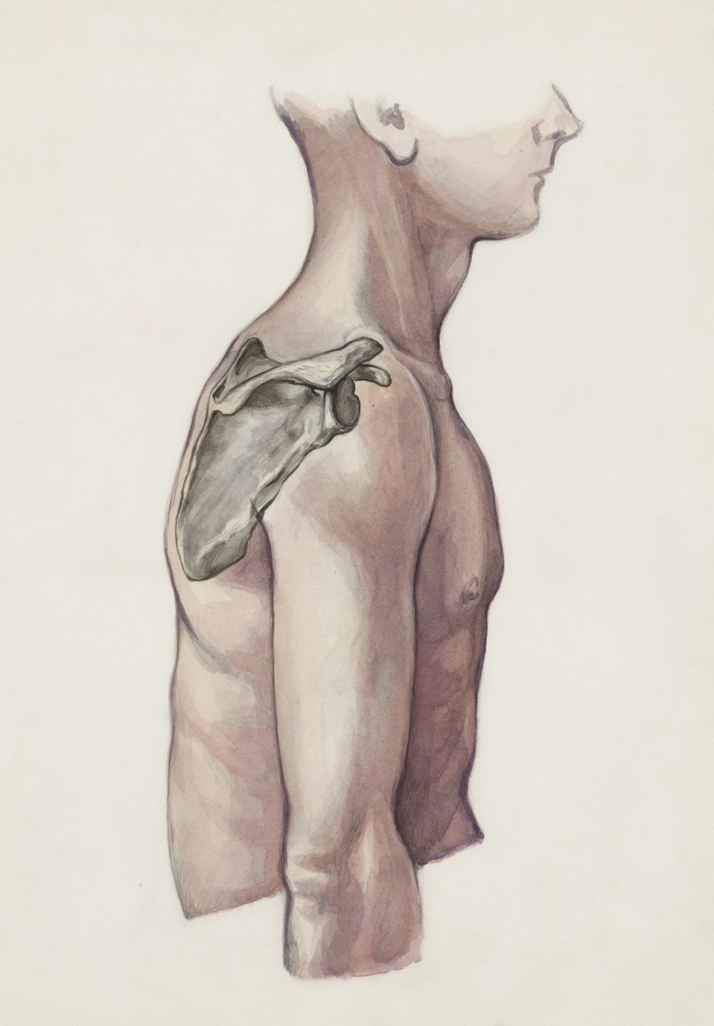 a drawing of a man's back with a piece of cloth on it