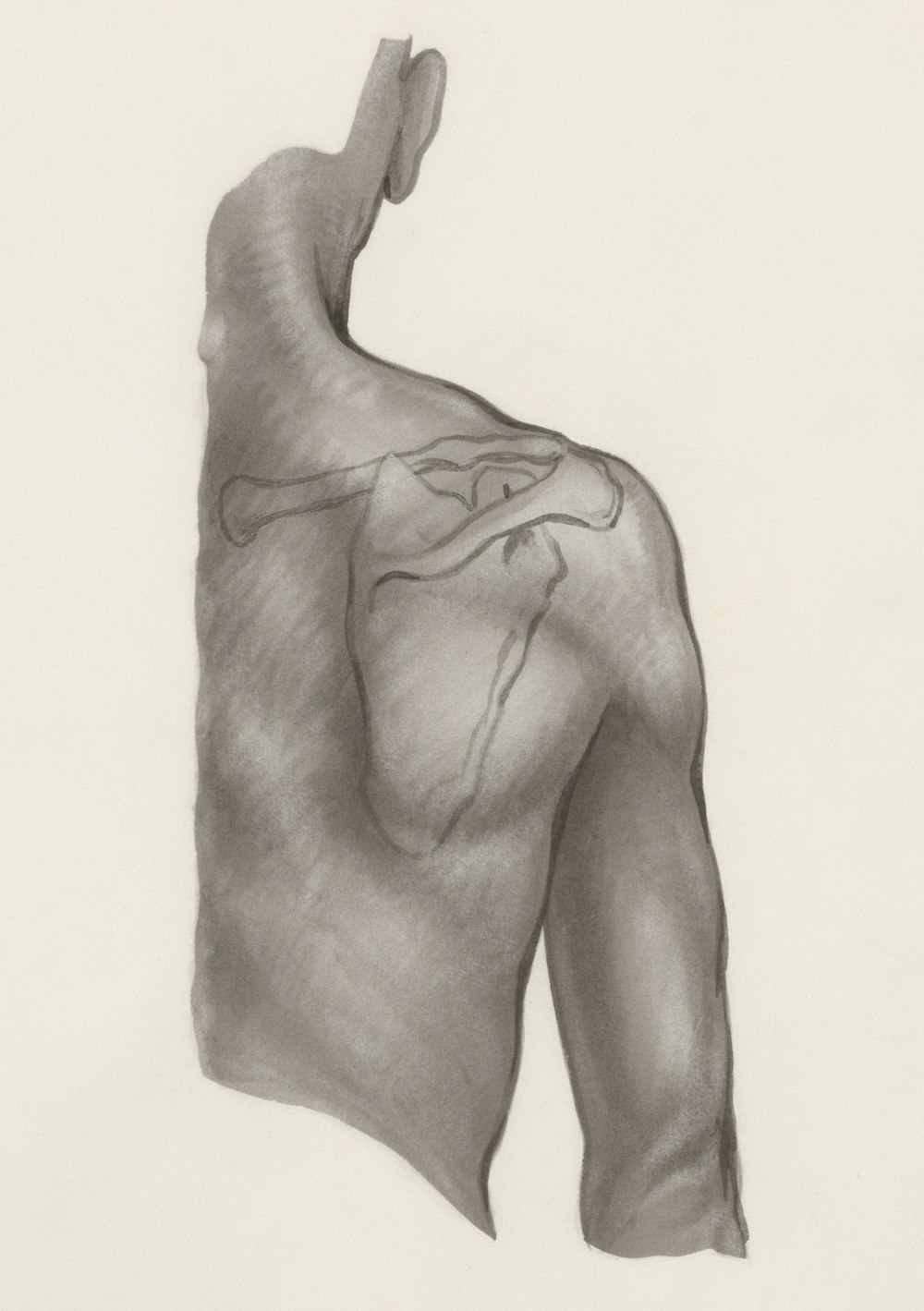 a black and white drawing of a man's torso