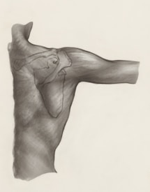 a black and white drawing of a person's arm