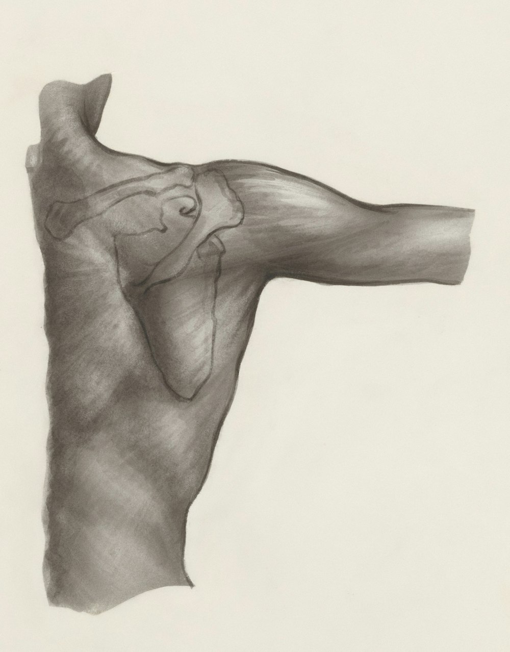 a black and white drawing of a person's arm