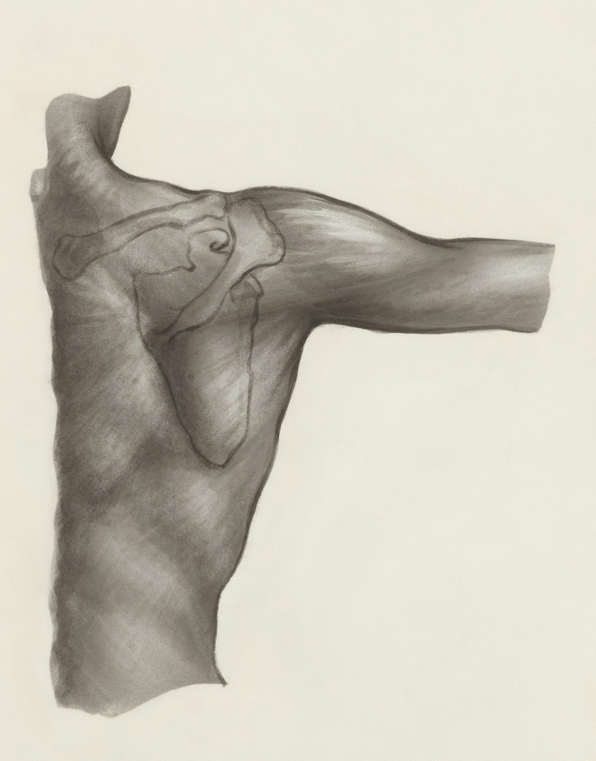 Title: Shoulder joint Creator: Tinkelenberg, J Date: 1961-05-16 Providing institution: Universitaire Bibliotheken Leiden Aggregator: Dutch Collections for Europe Providing Country: Netherlands Public Domain Shoulder joint by Tinkelenberg, J - Leiden University Libraries, Netherlands - Public Domain. https://www.europeana.eu/item/744/item_3461995