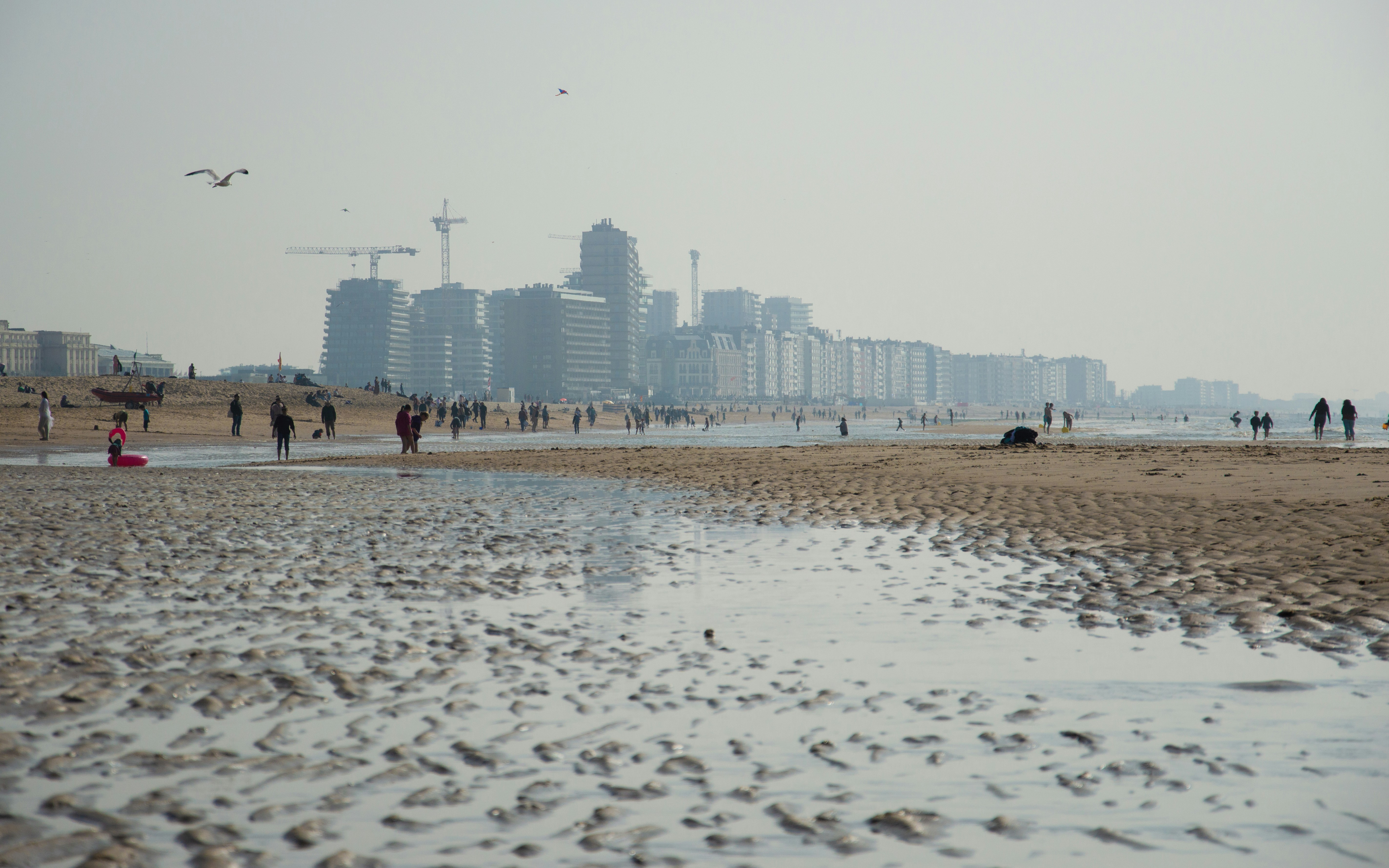 a group of people standing on top of a sandy beach