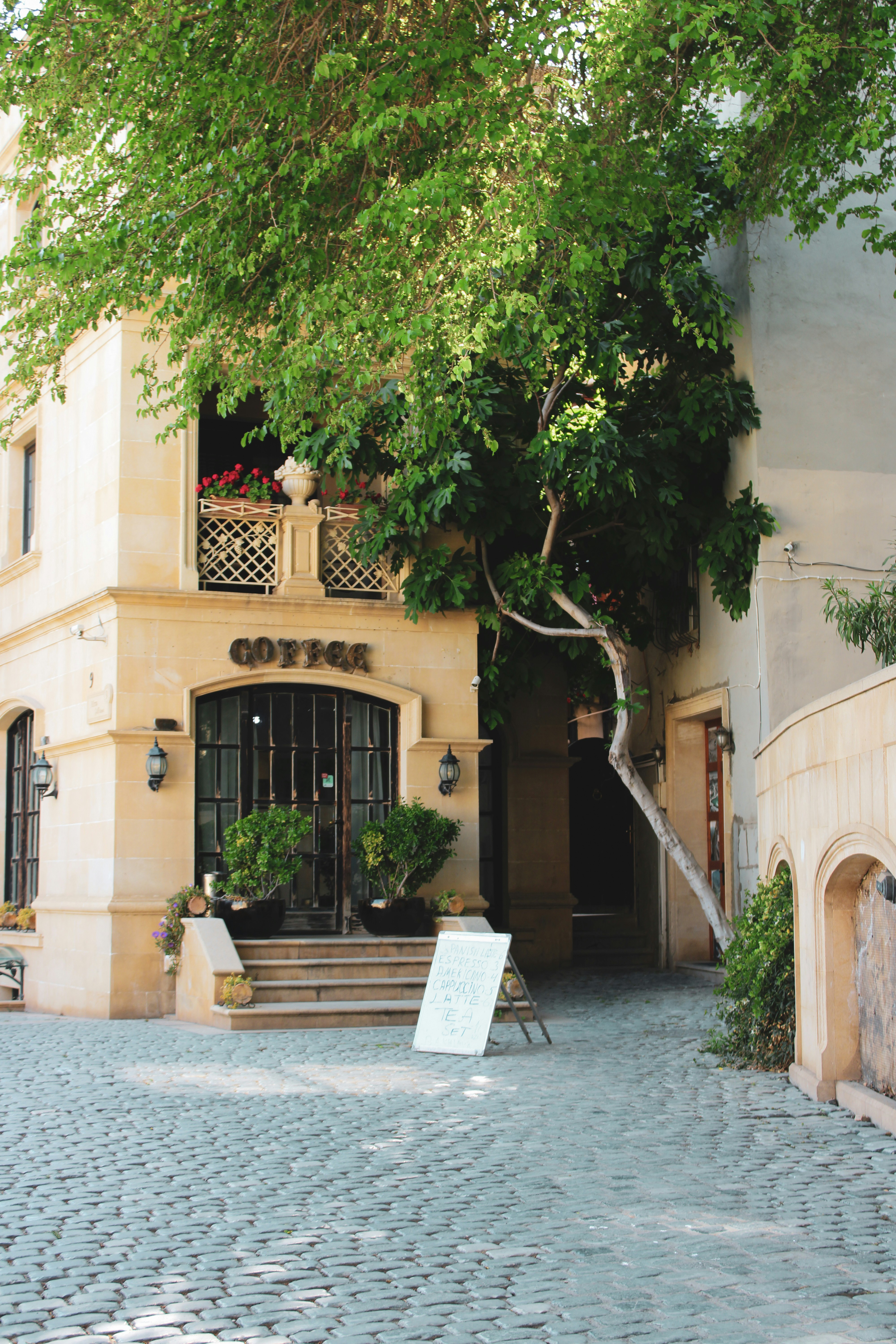 Olive Branch Restaurant Menu