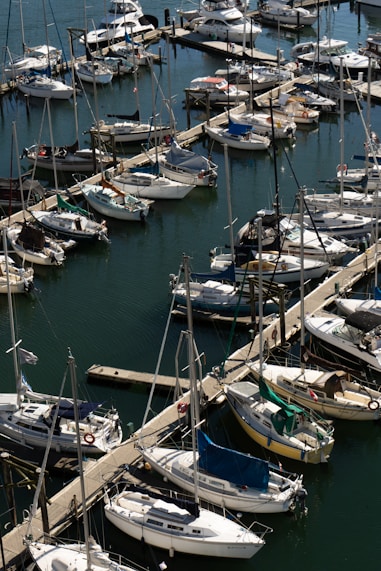 a bunch of boats that are in the water