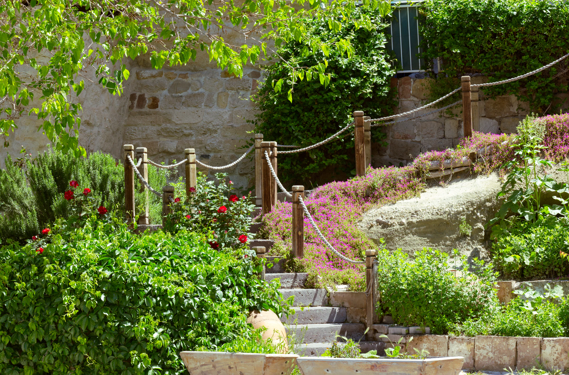 Landscape Design Banner
