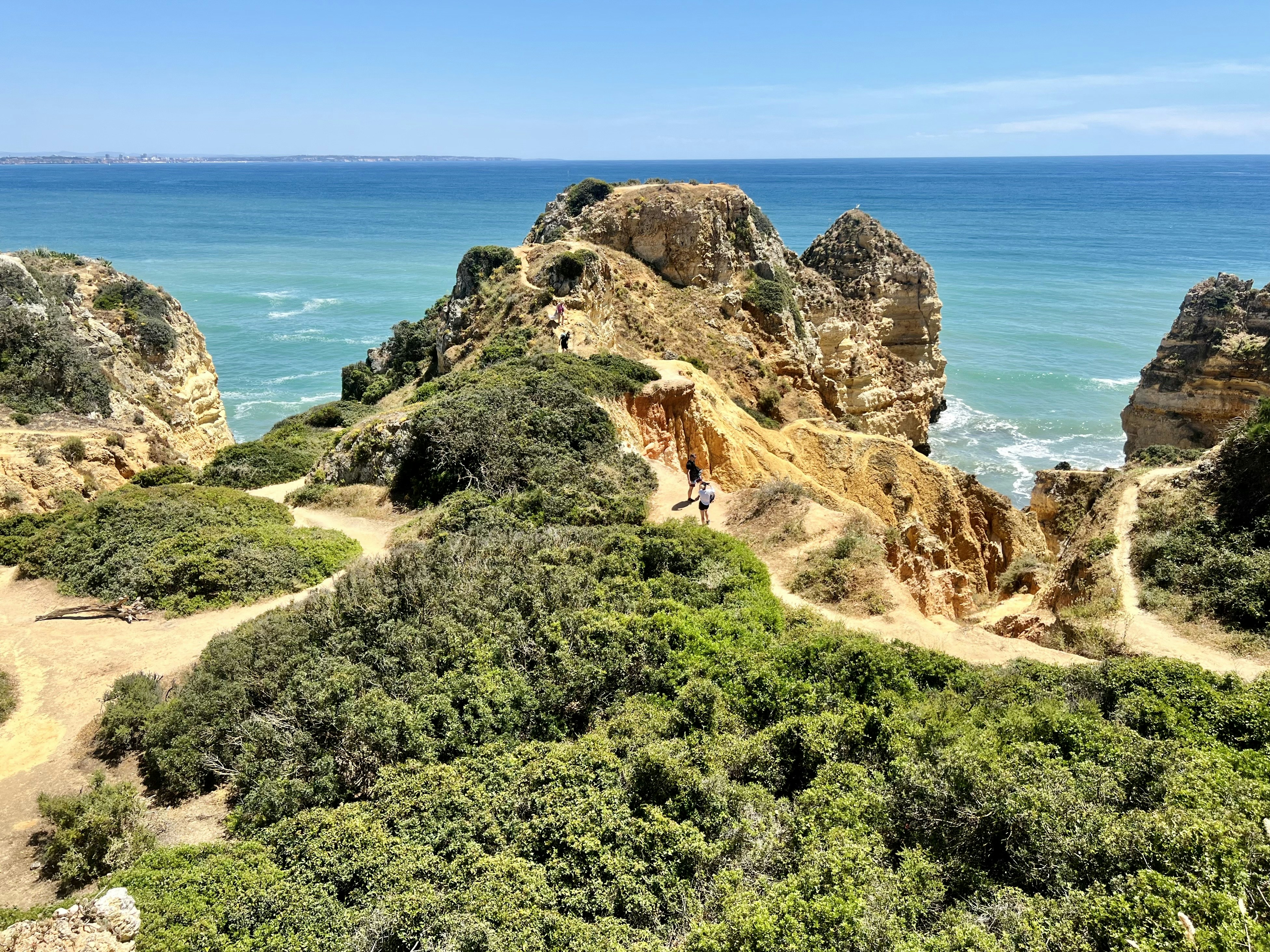 a person standing on a trail near the ocean