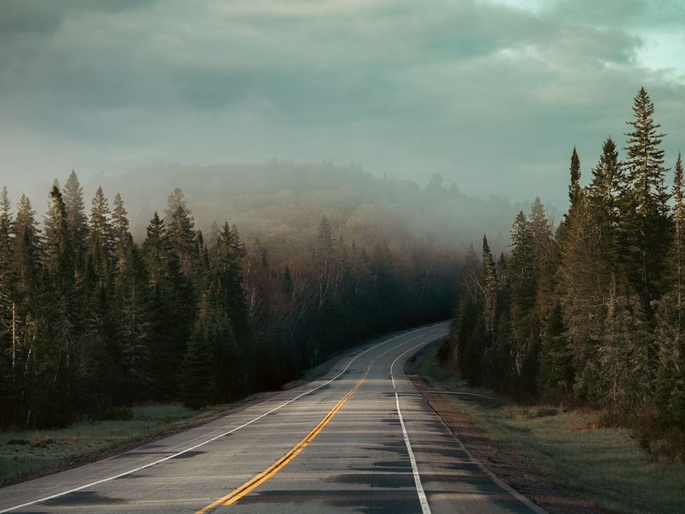 a long road with trees on both sides of it