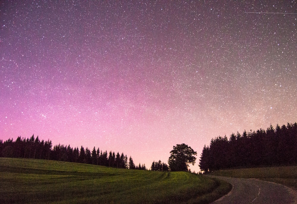 a road going through a lush green field under a purple sky