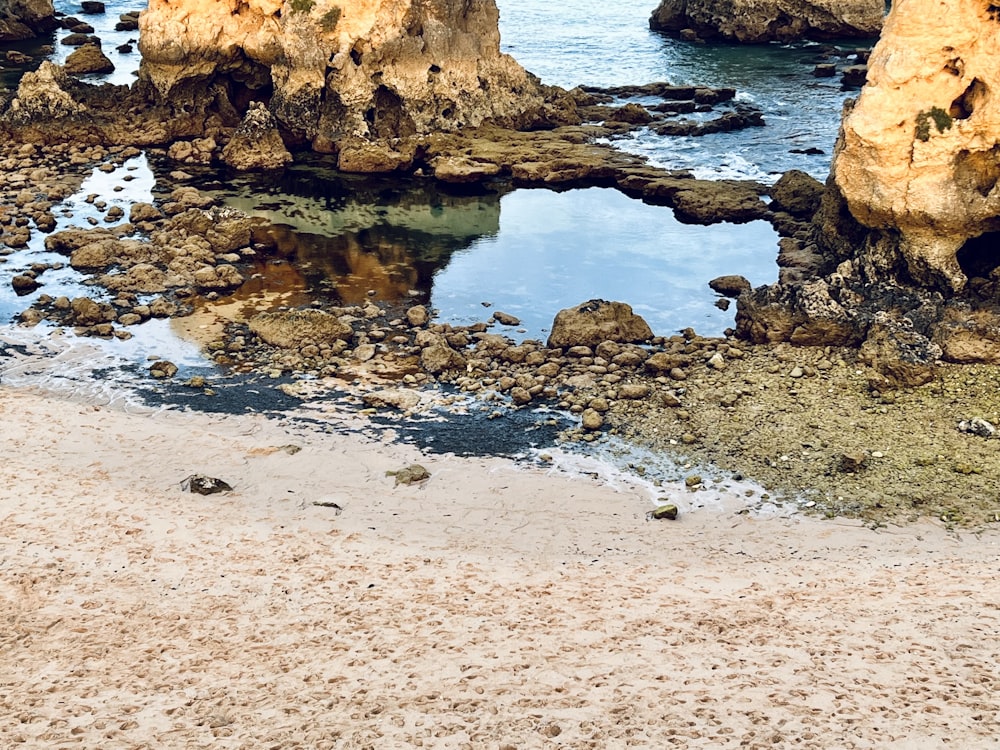 a bird is standing on the beach near the water