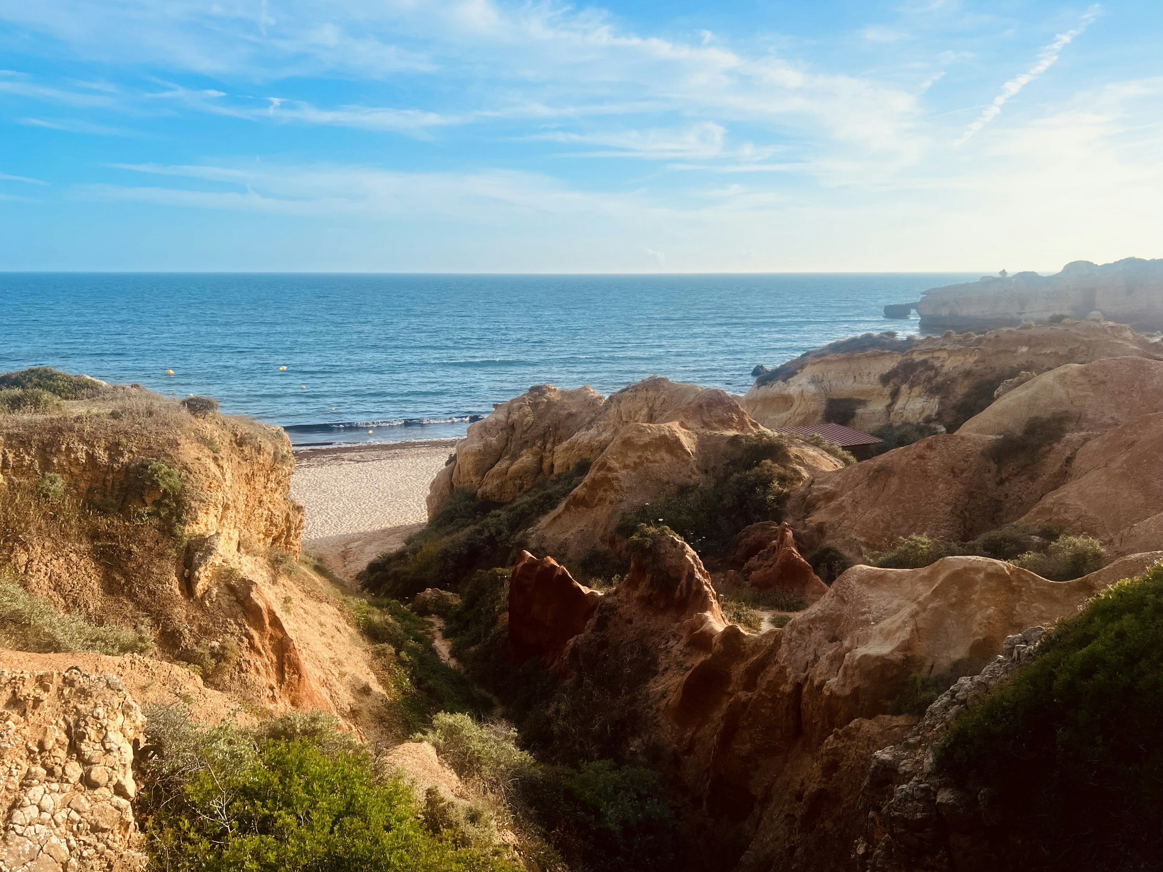 a view of the ocean from the top of a hill