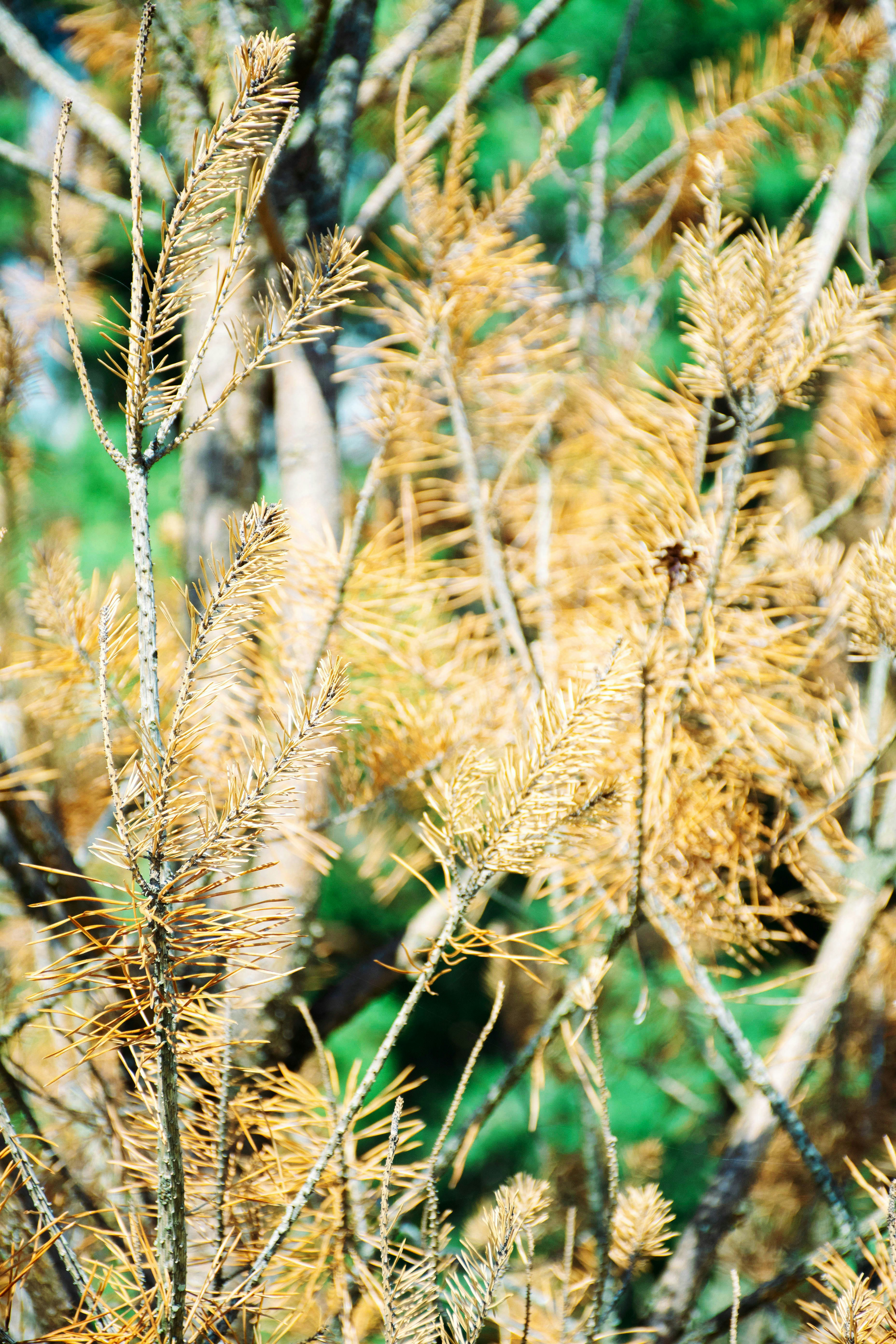 Photo by olga_trishi