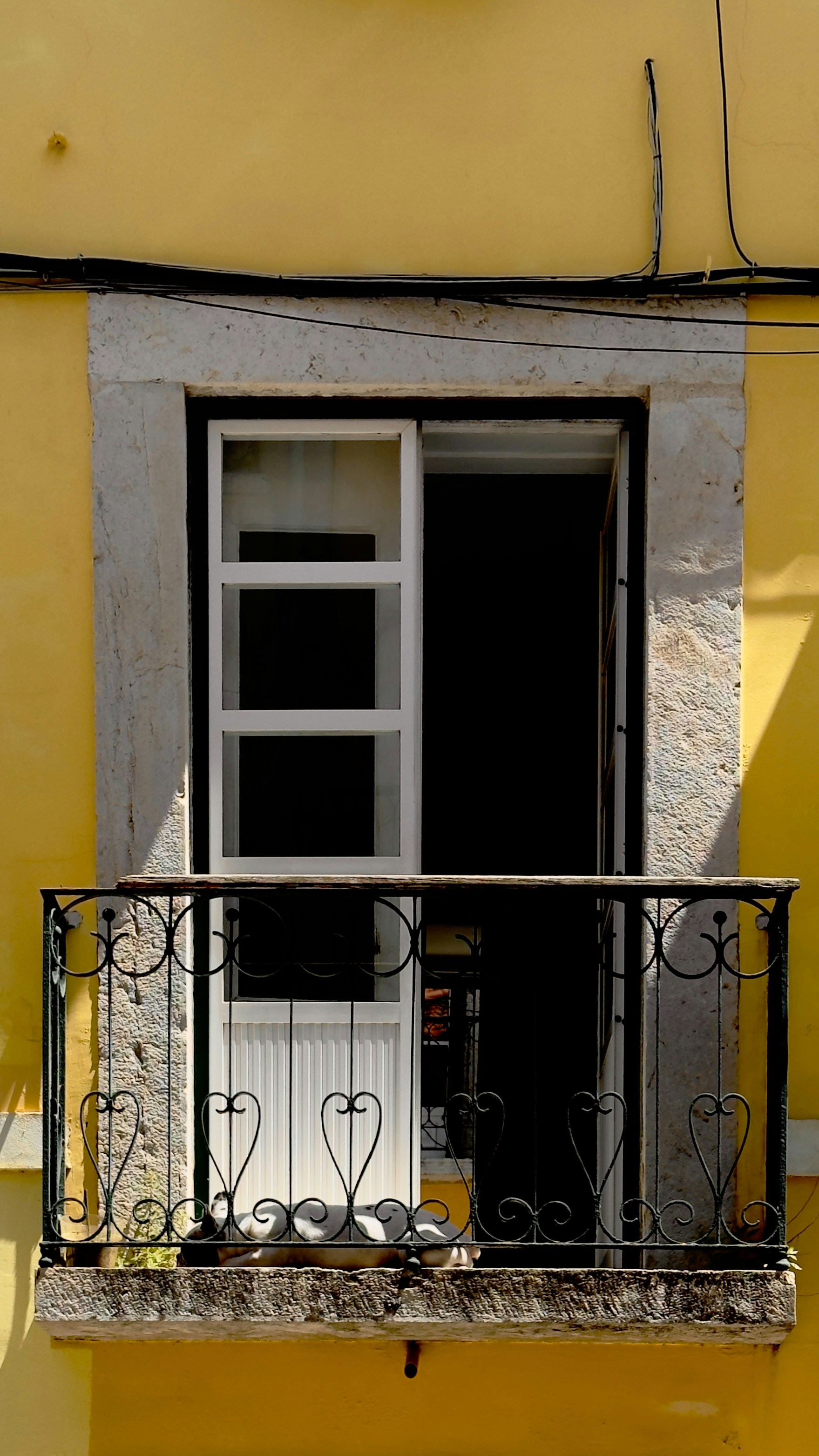 Photo by eddiepipocas