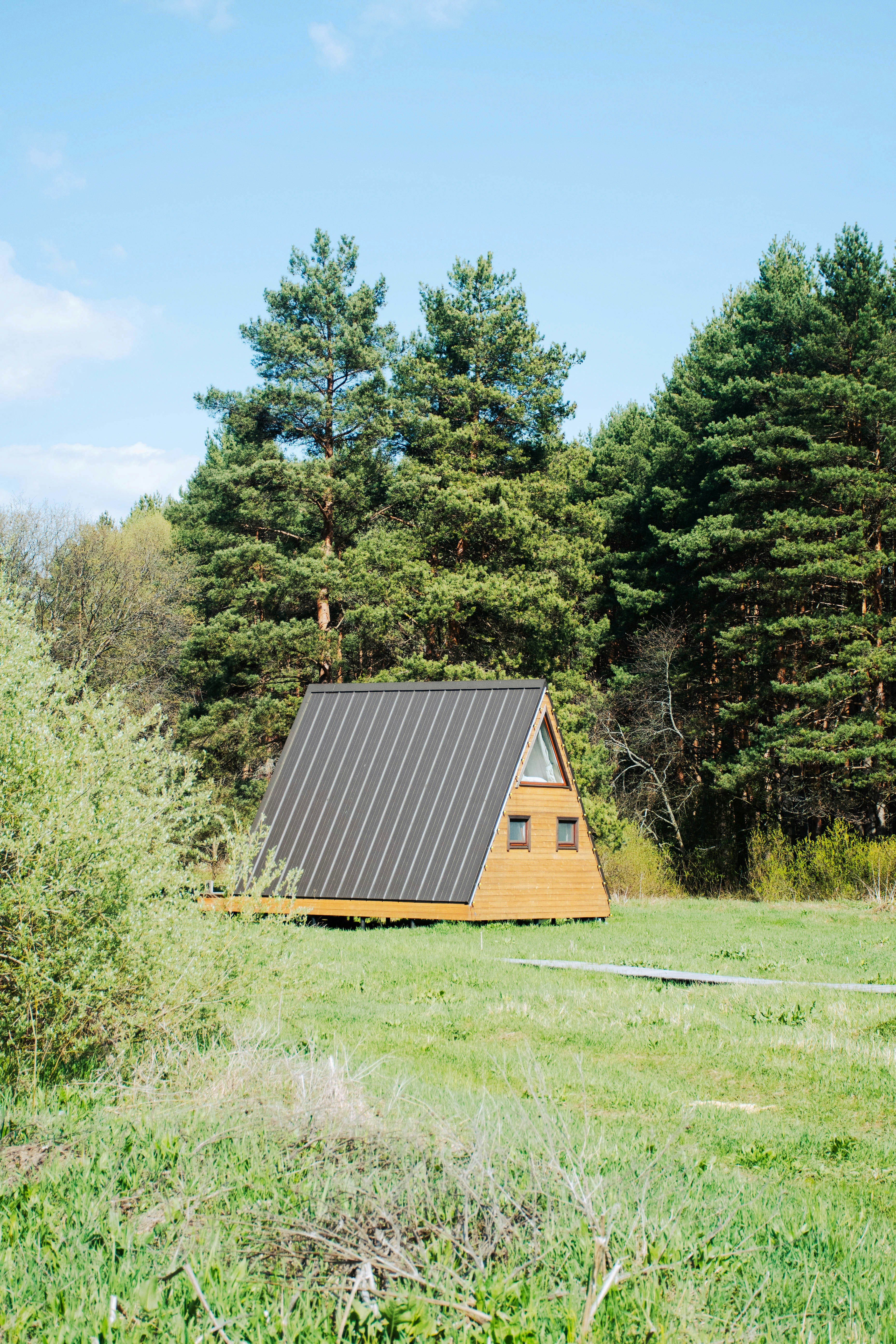 Photo by olga_trishi