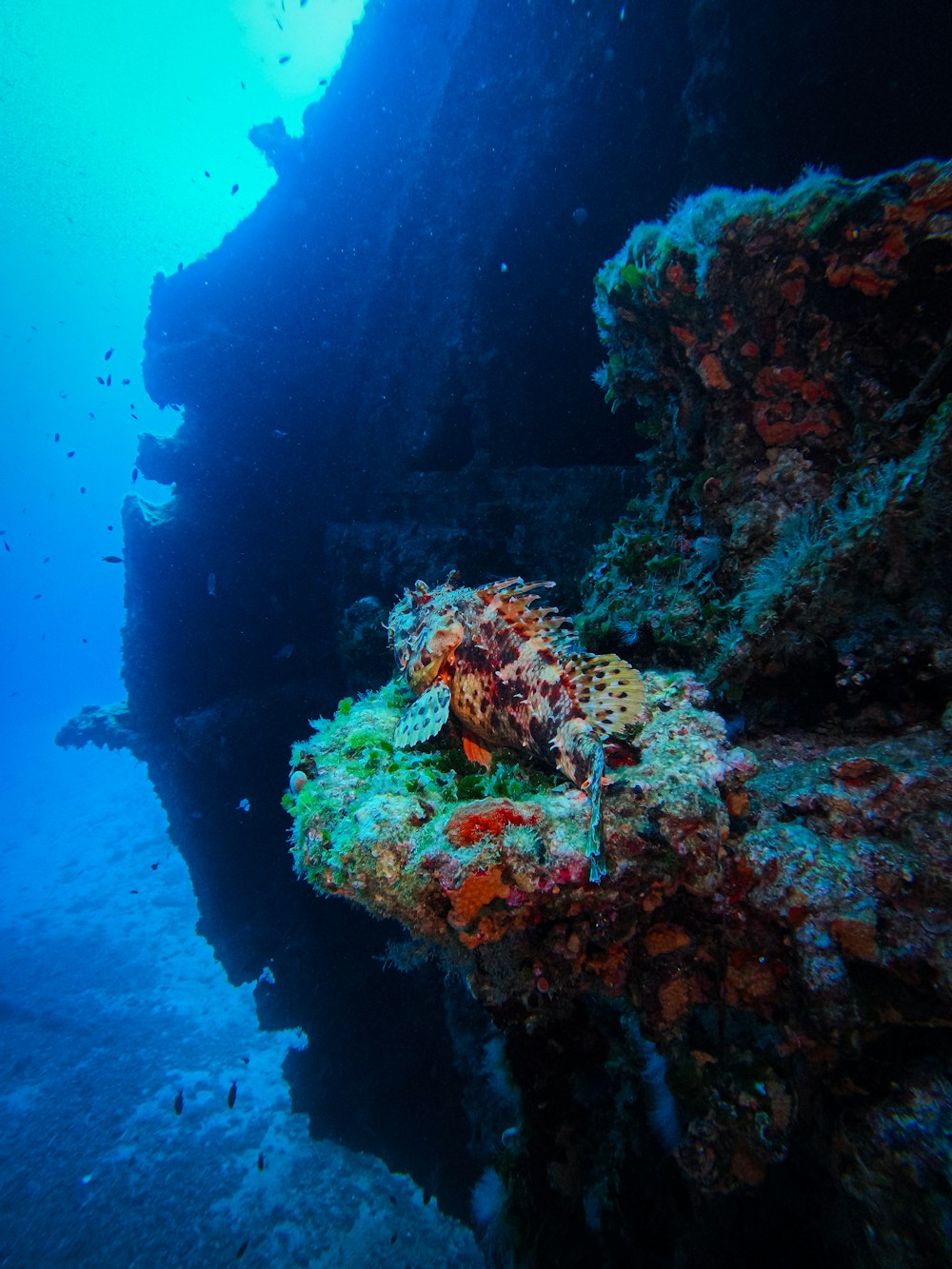 an underwater view of a ship wreck