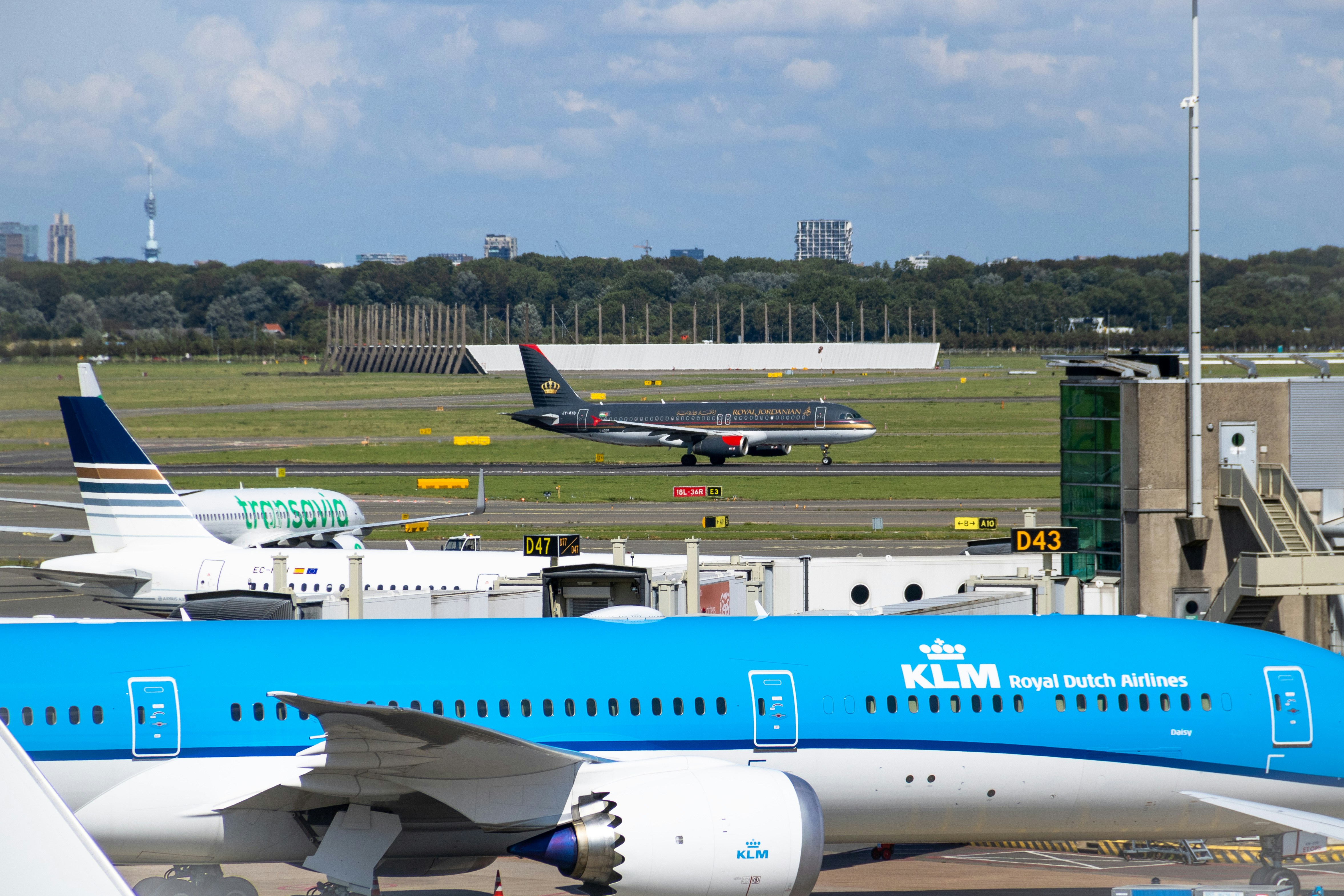 a blue and white jet airliner sitting on top of an airport tarmac, Royal Jordanian Airlines Airbus A319 taking off from Schiphol, Amsterdam, the Netherlands.