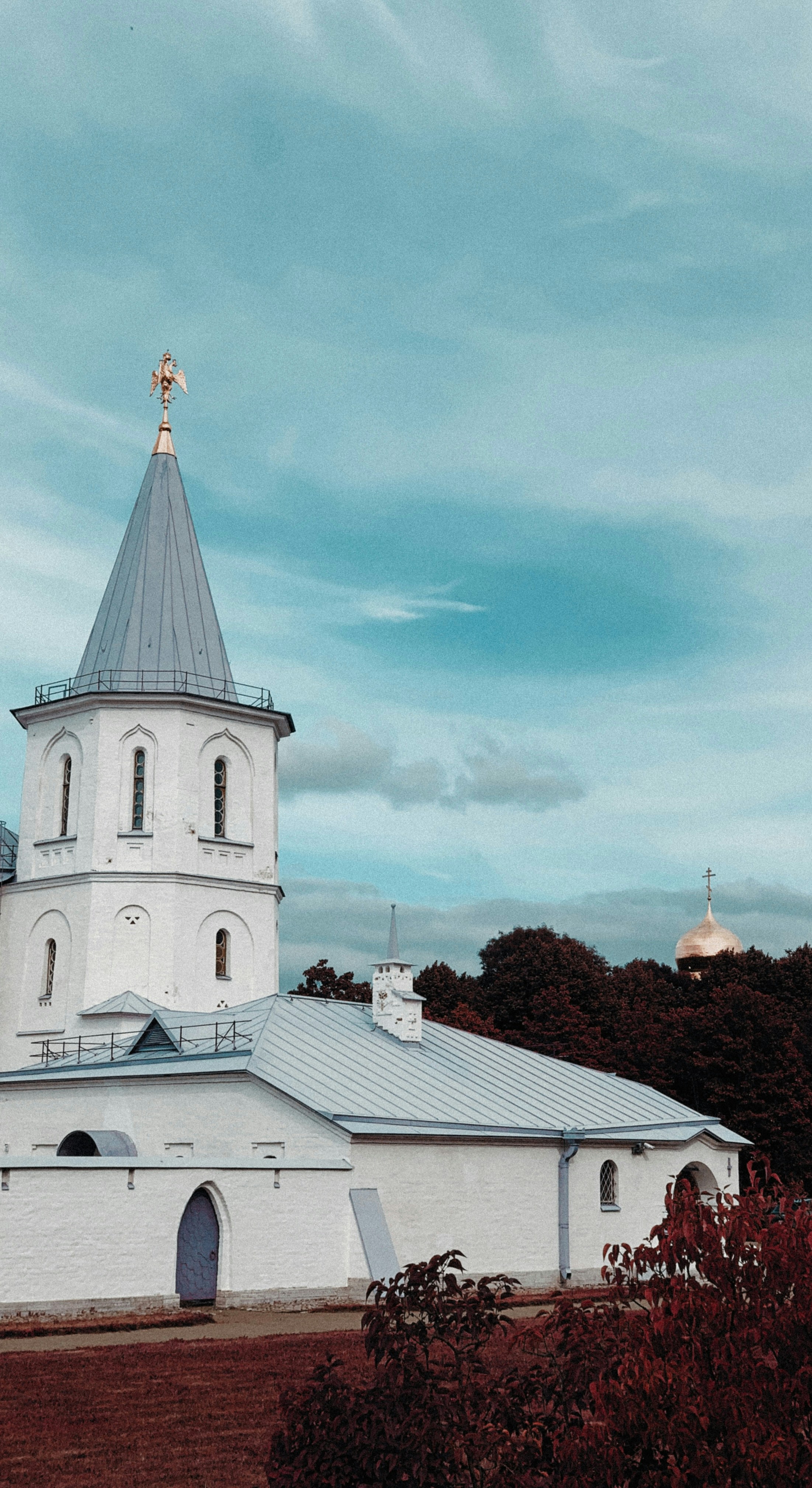 Photo by honeysuckle_phonie