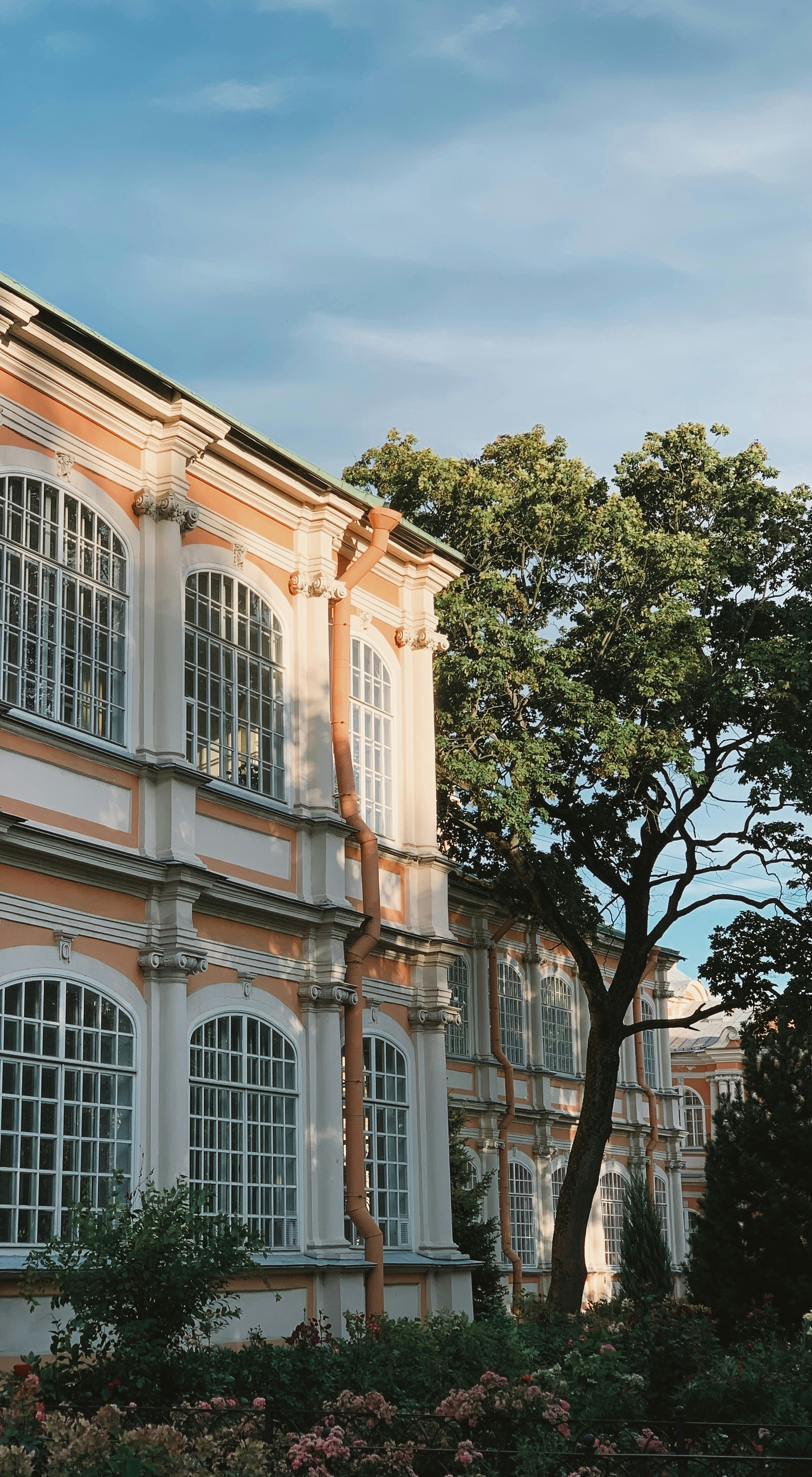 Photo by honeysuckle_phonie