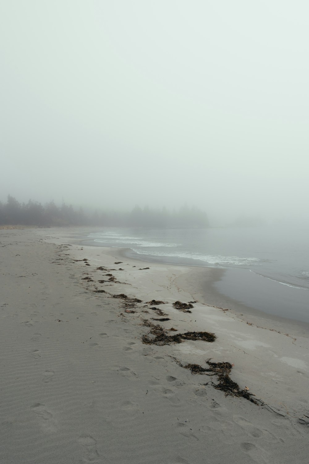 a foggy beach with footprints in the sand