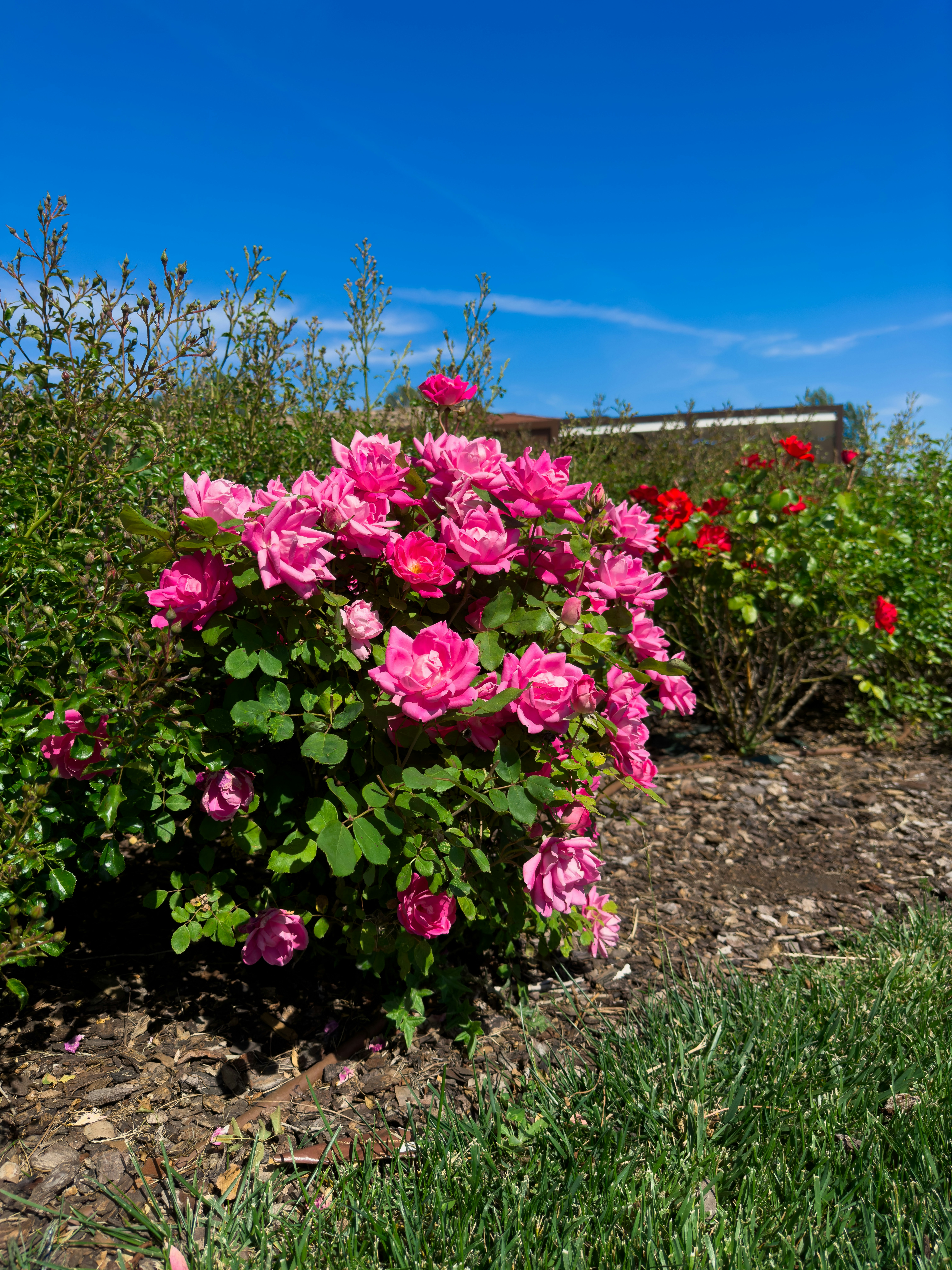 Photo by madbadfatduck