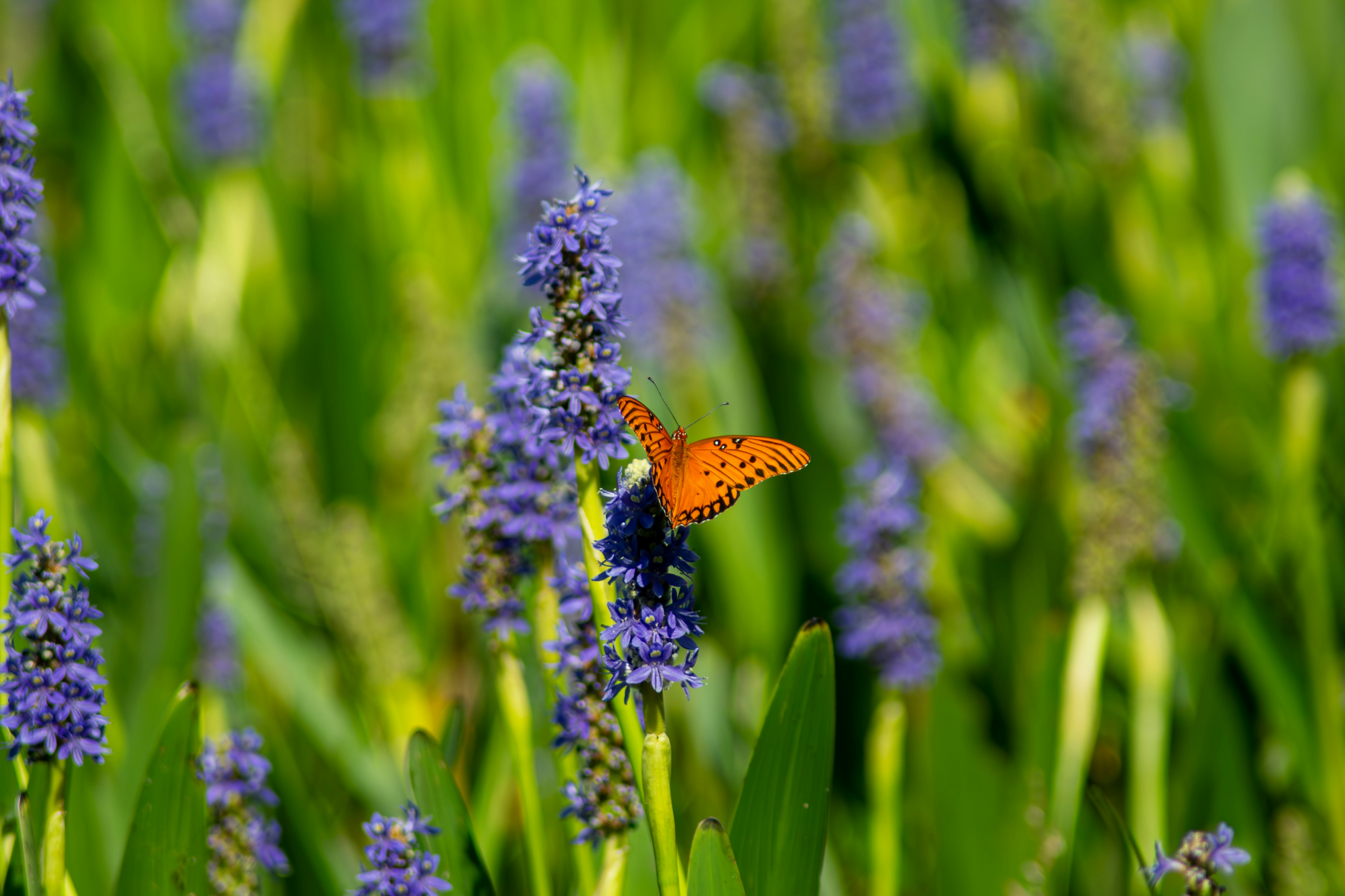 Photo by astro_civil