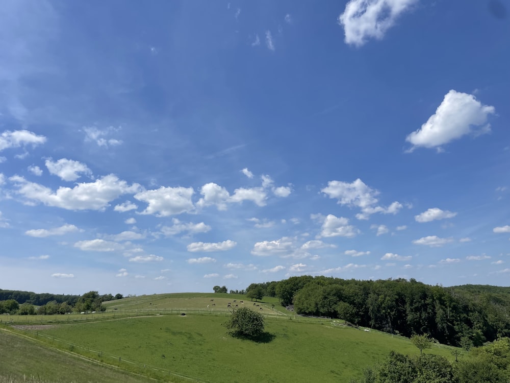 a green field with trees and clouds in the sky