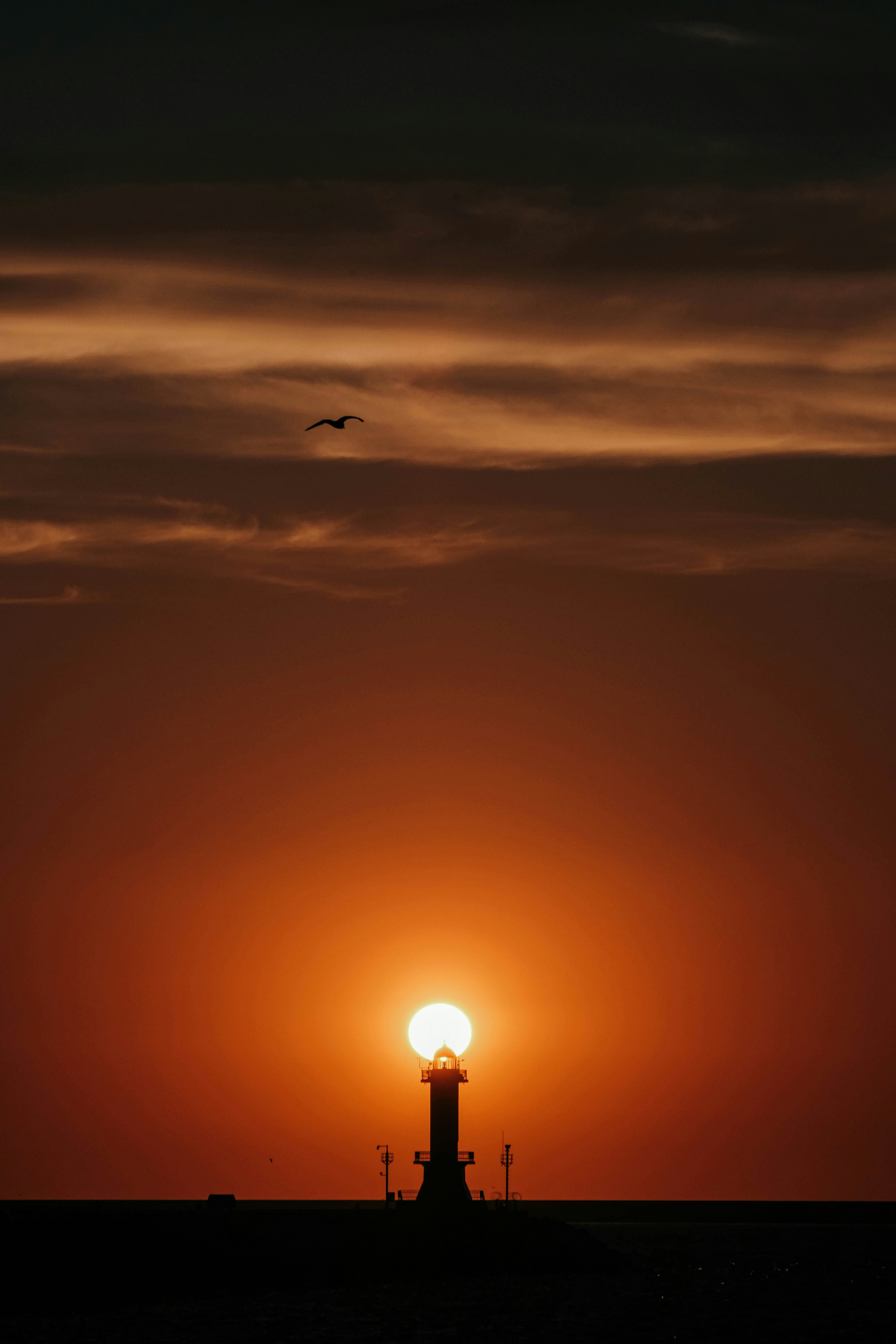 Photo by insungpandora