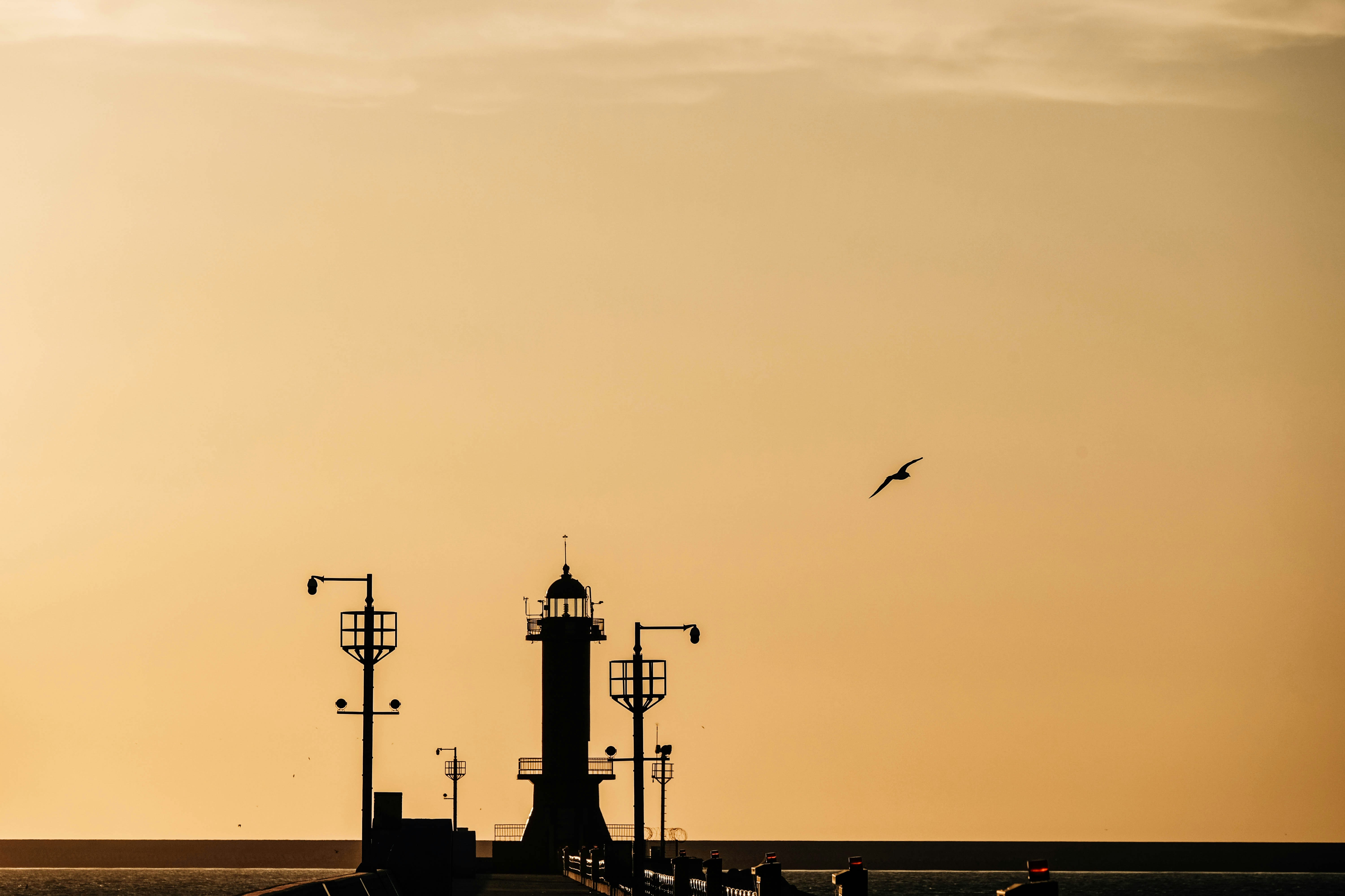 Photo by insungpandora