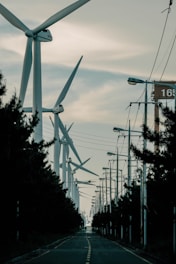 a street lined with lots of wind turbines