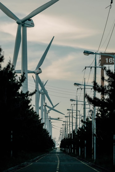 a street lined with lots of wind turbines