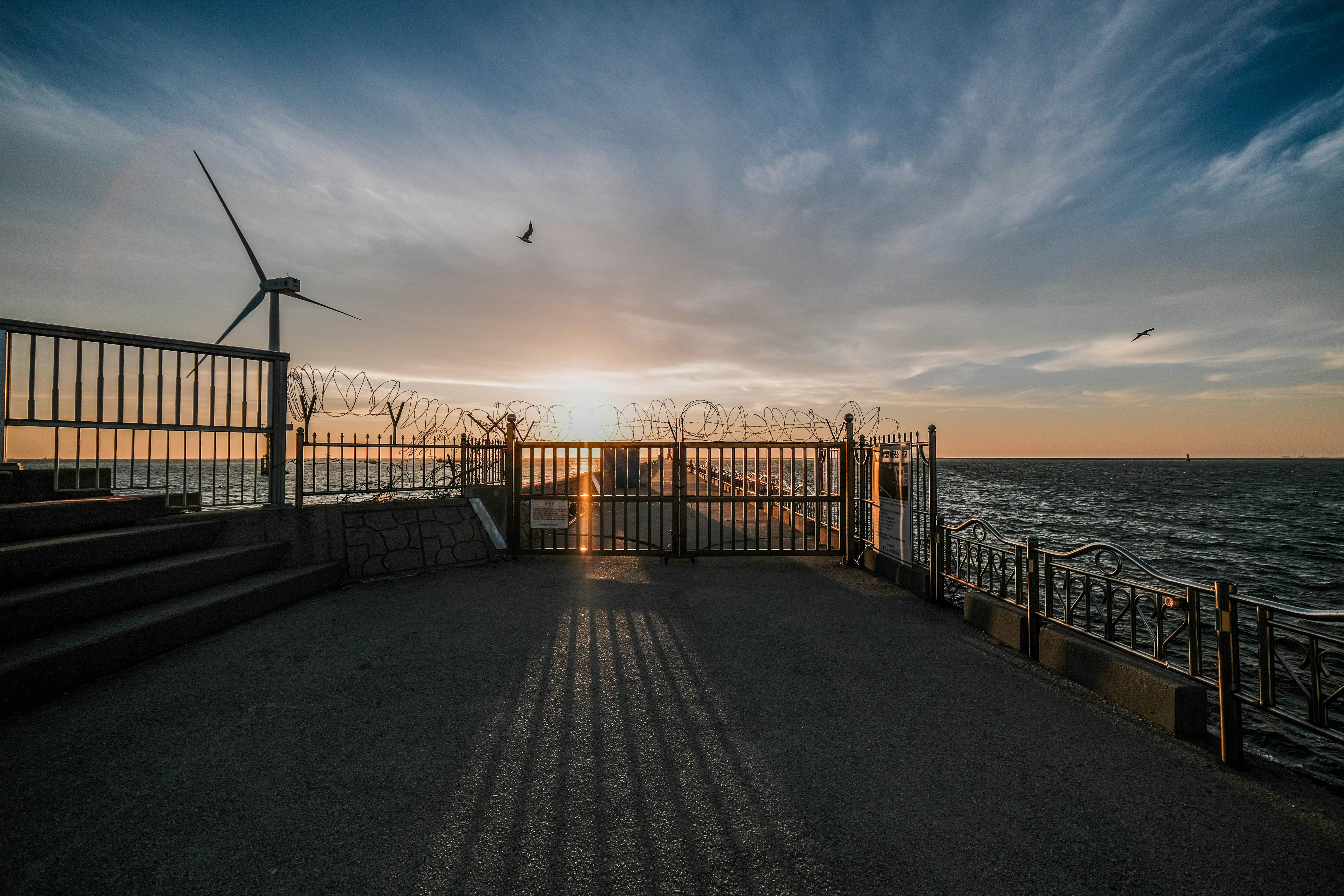 Photo by insungpandora