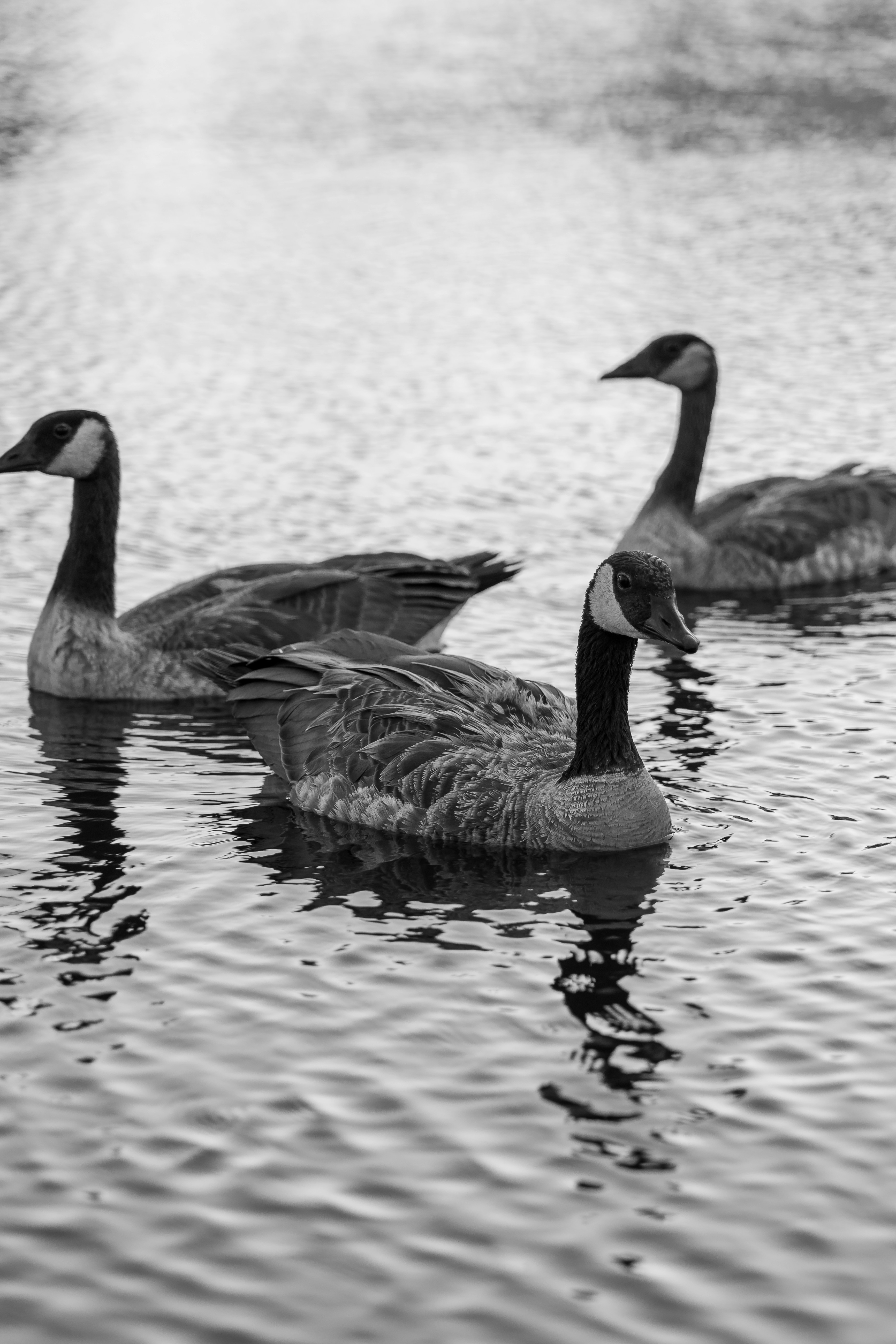 Photo by kennykartmanphotography