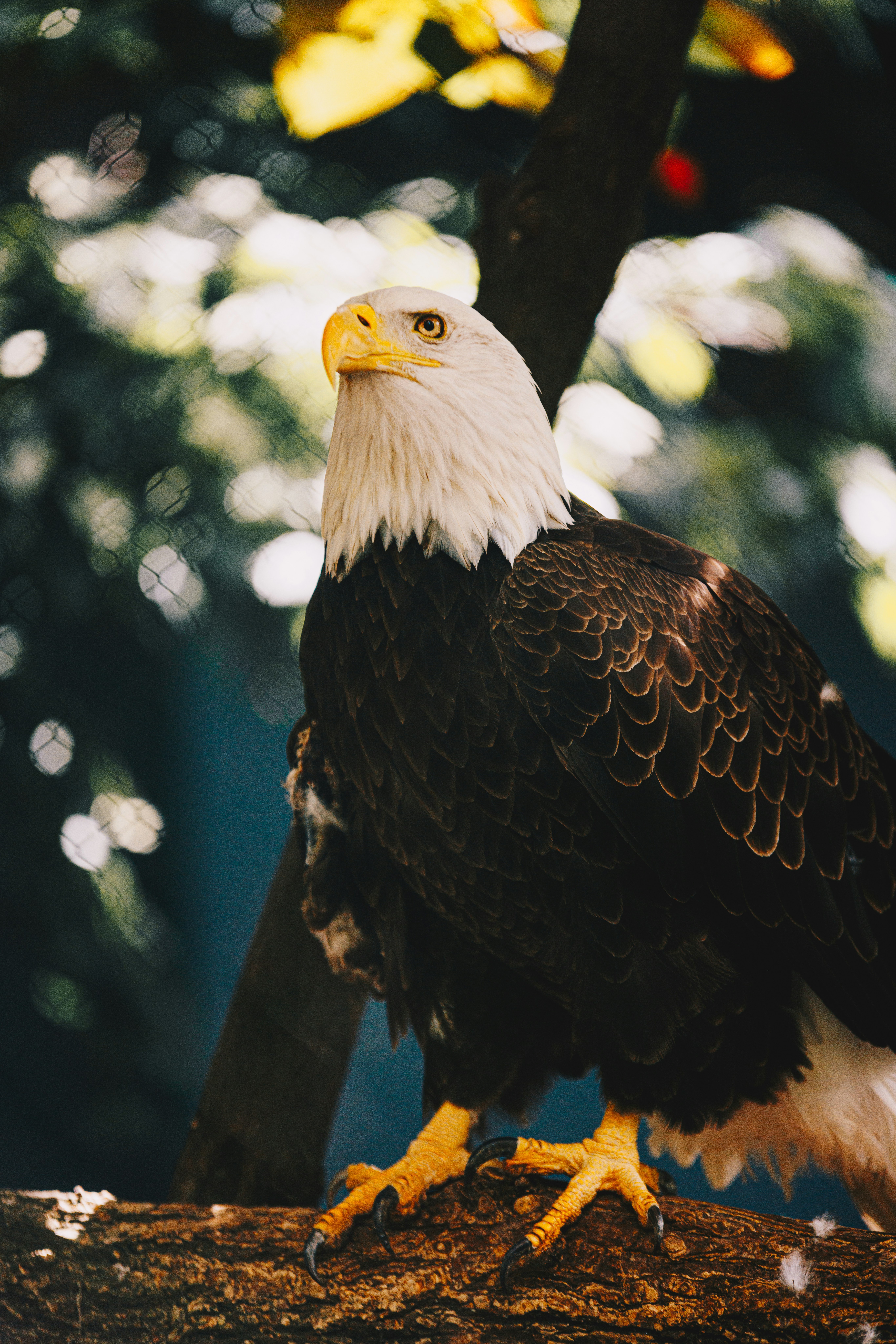 Photo by storywright