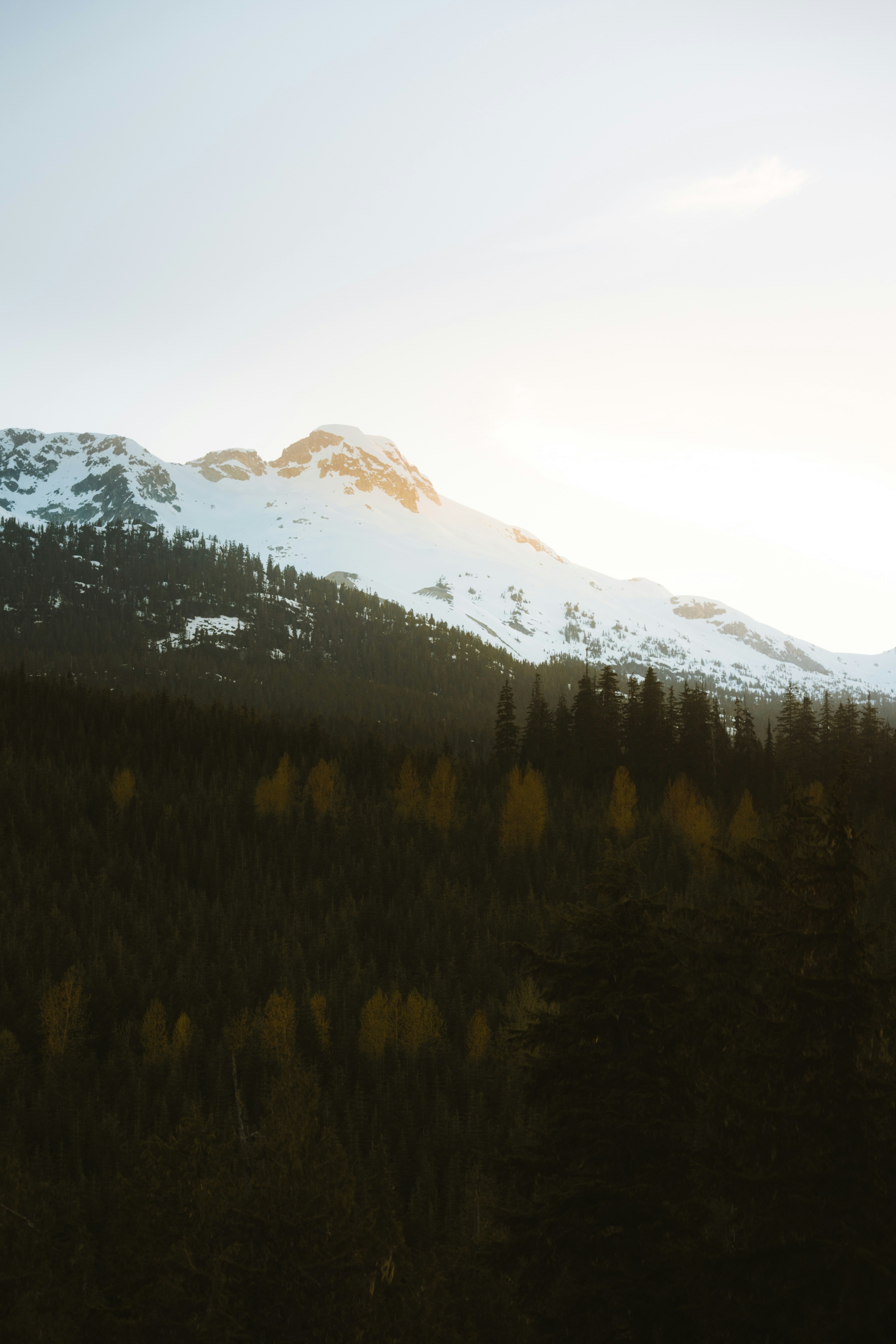 Photo by bylukemiller