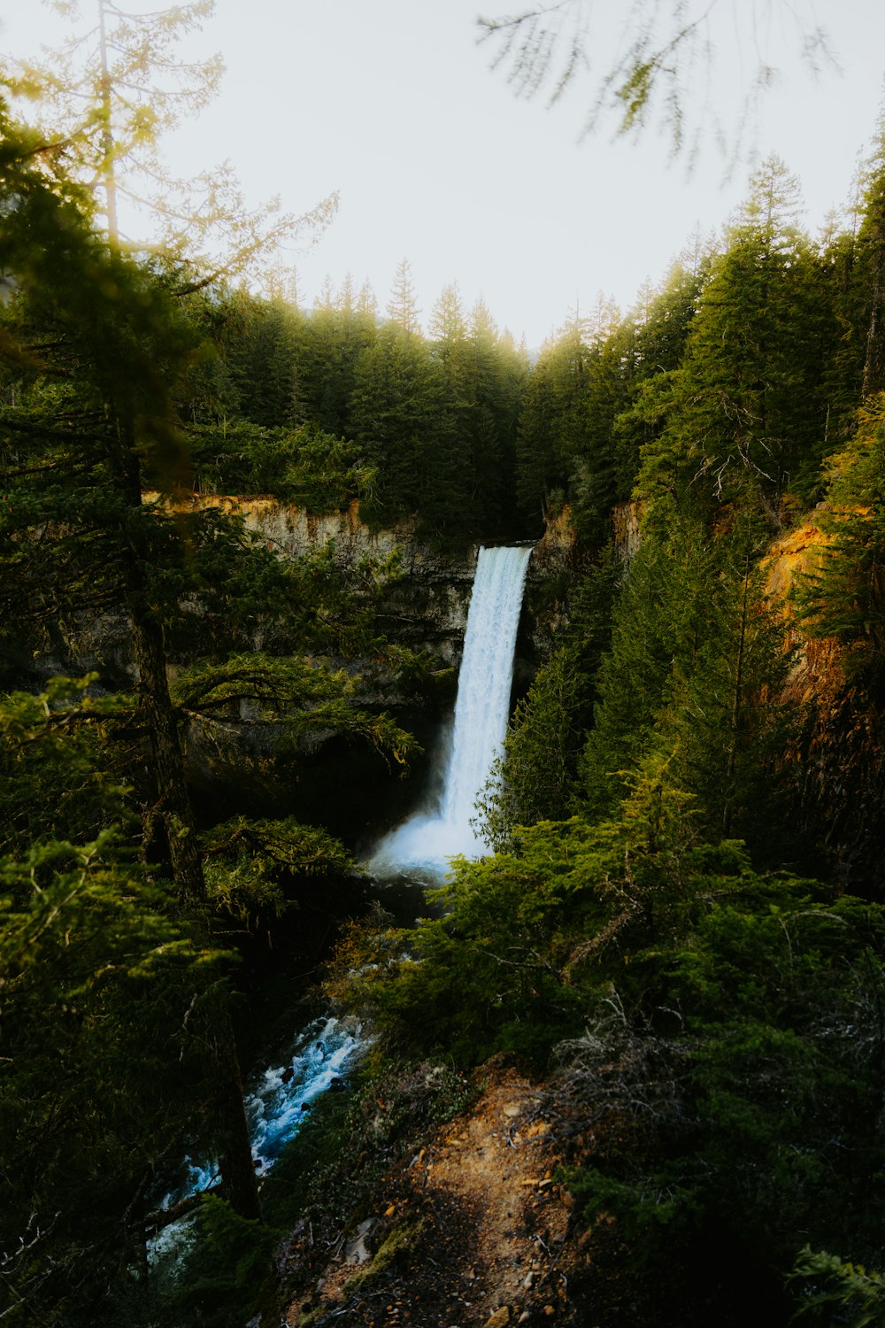 a waterfall in the middle of a forest