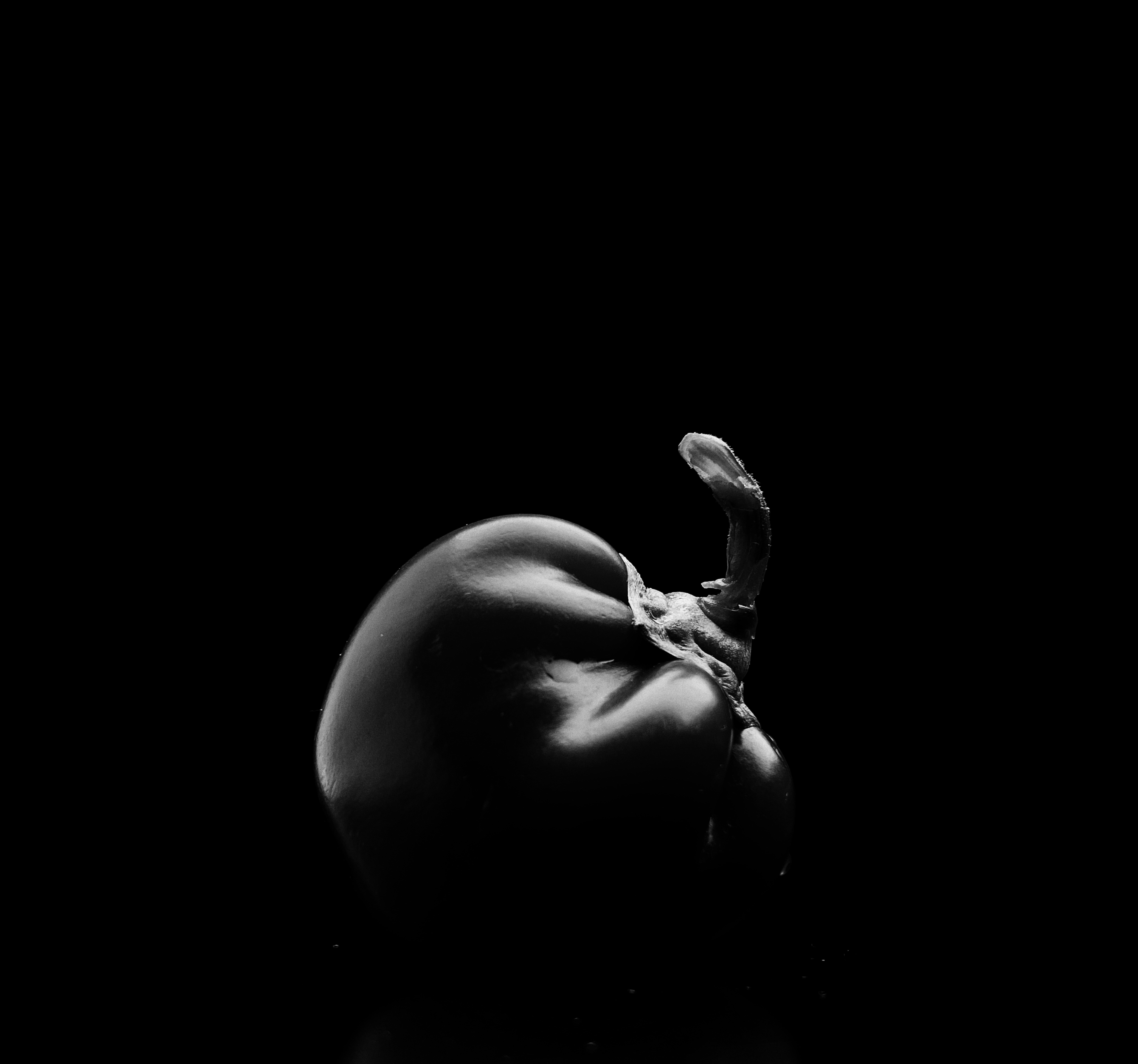 Una foto en blanco y negro de un tomate
