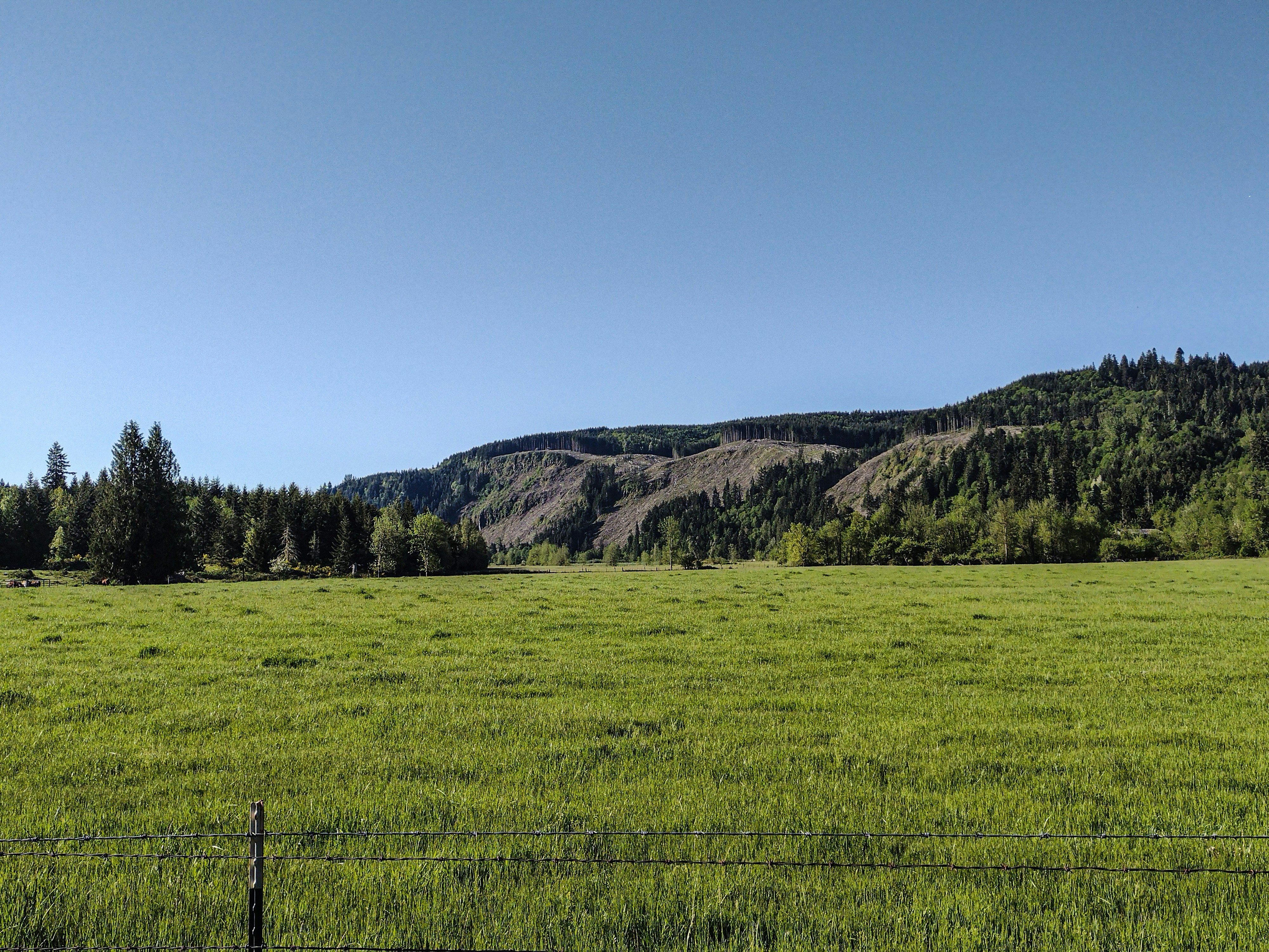 Photo by prphotography262