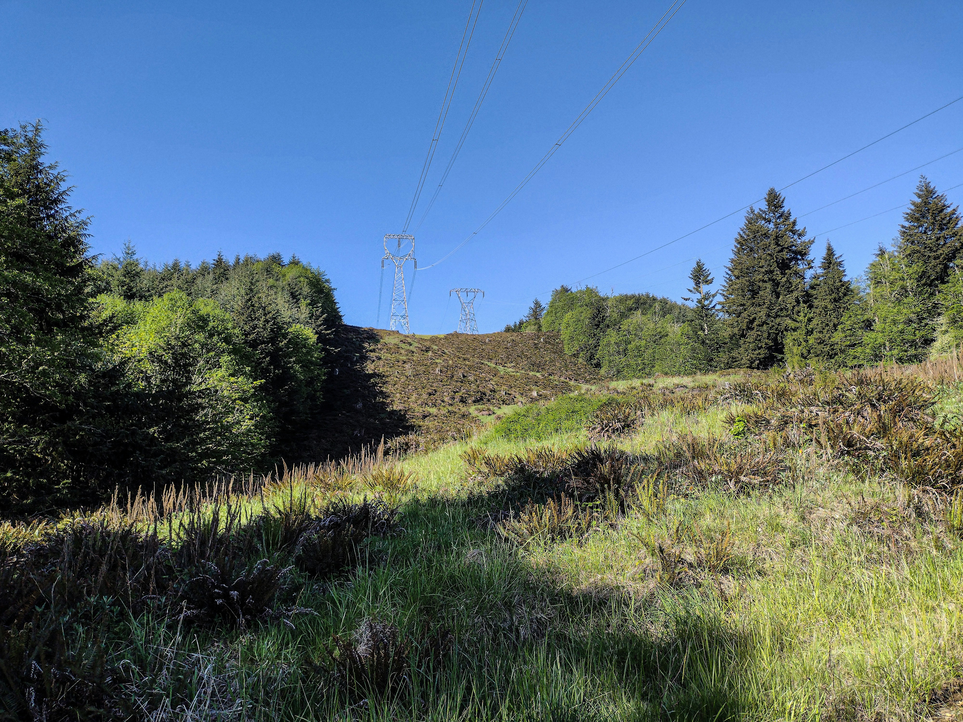 Photo by prphotography262