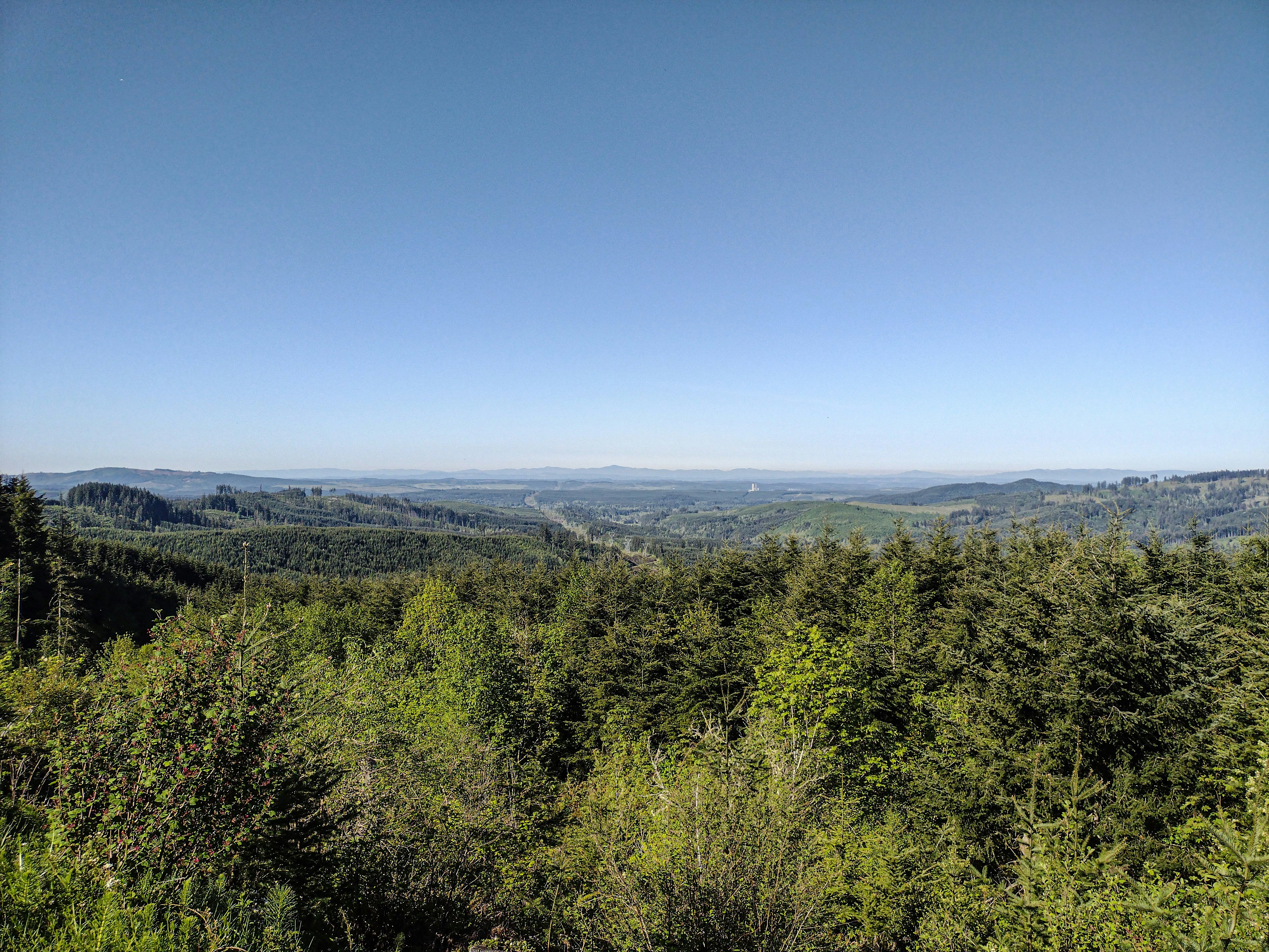 Photo by prphotography262