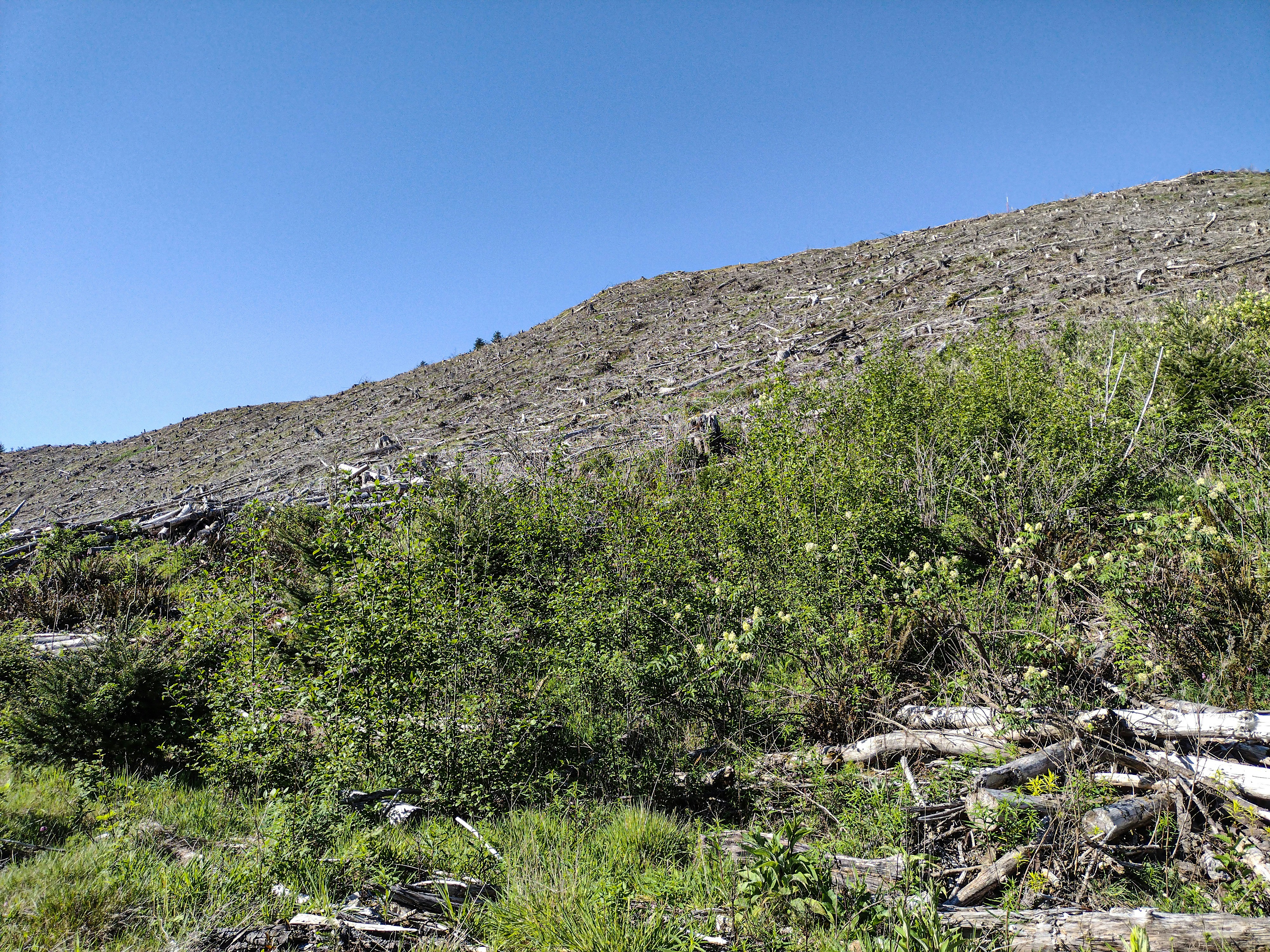 Photo by prphotography262