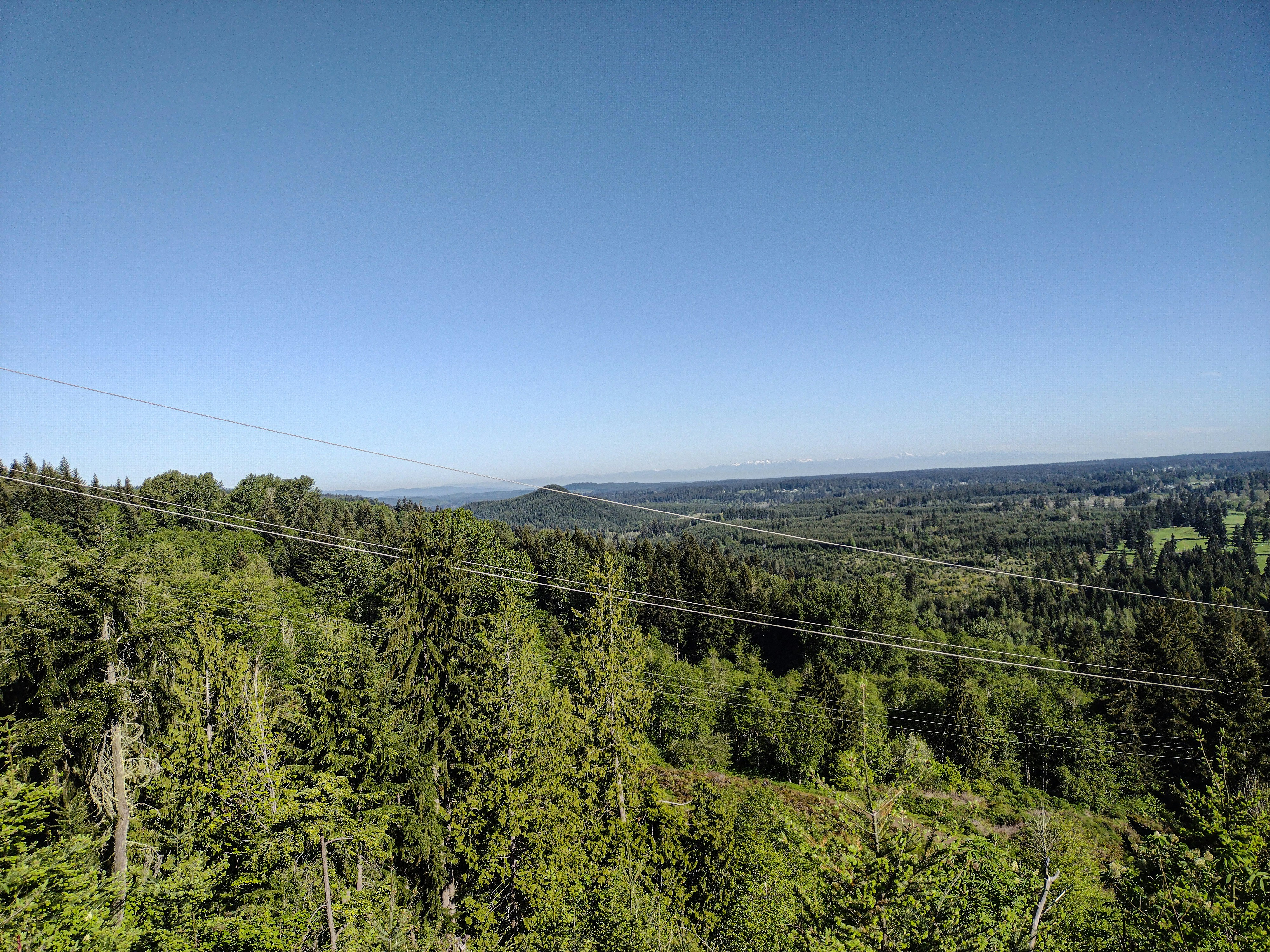 Photo by prphotography262