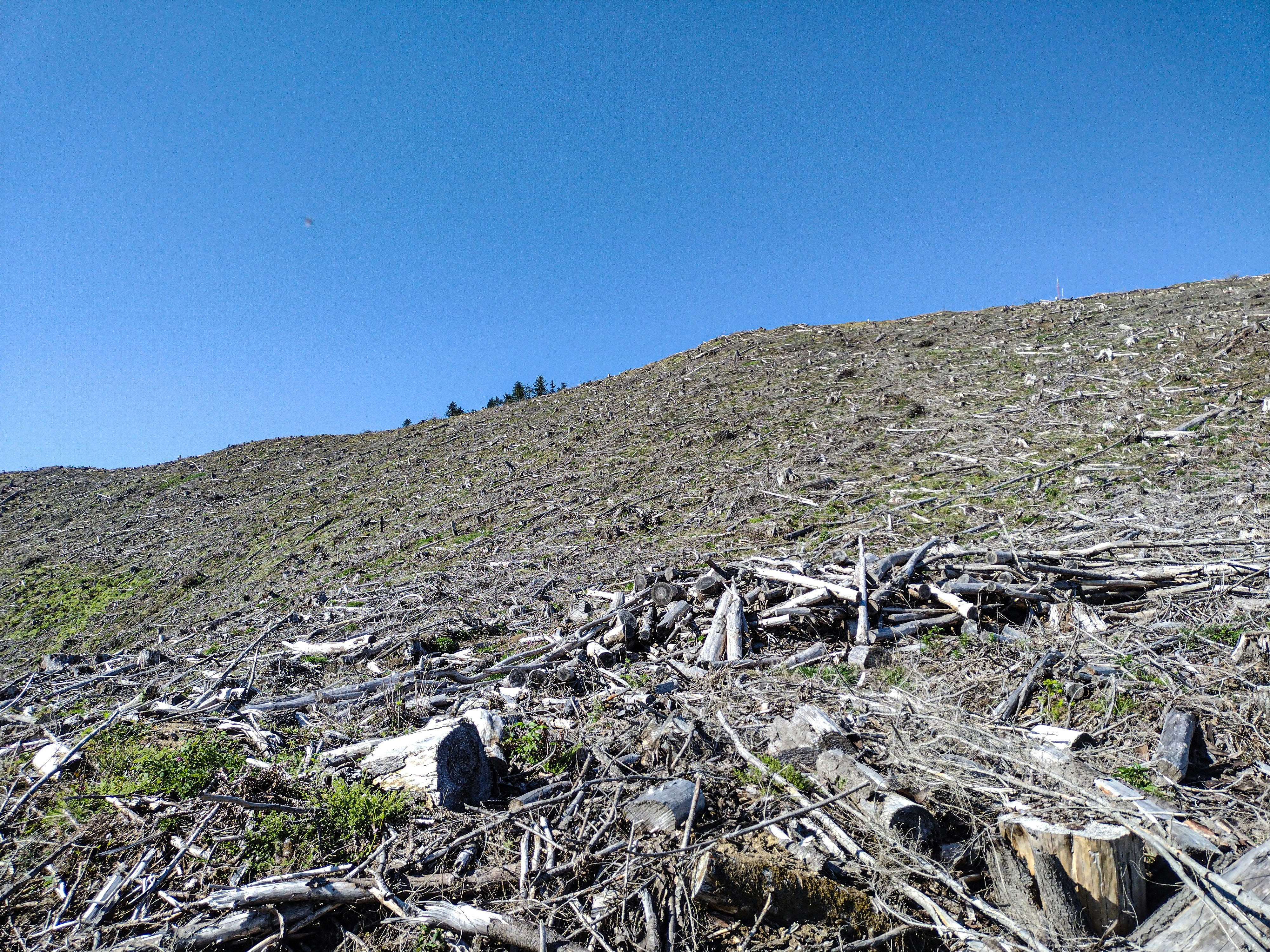 Photo by prphotography262