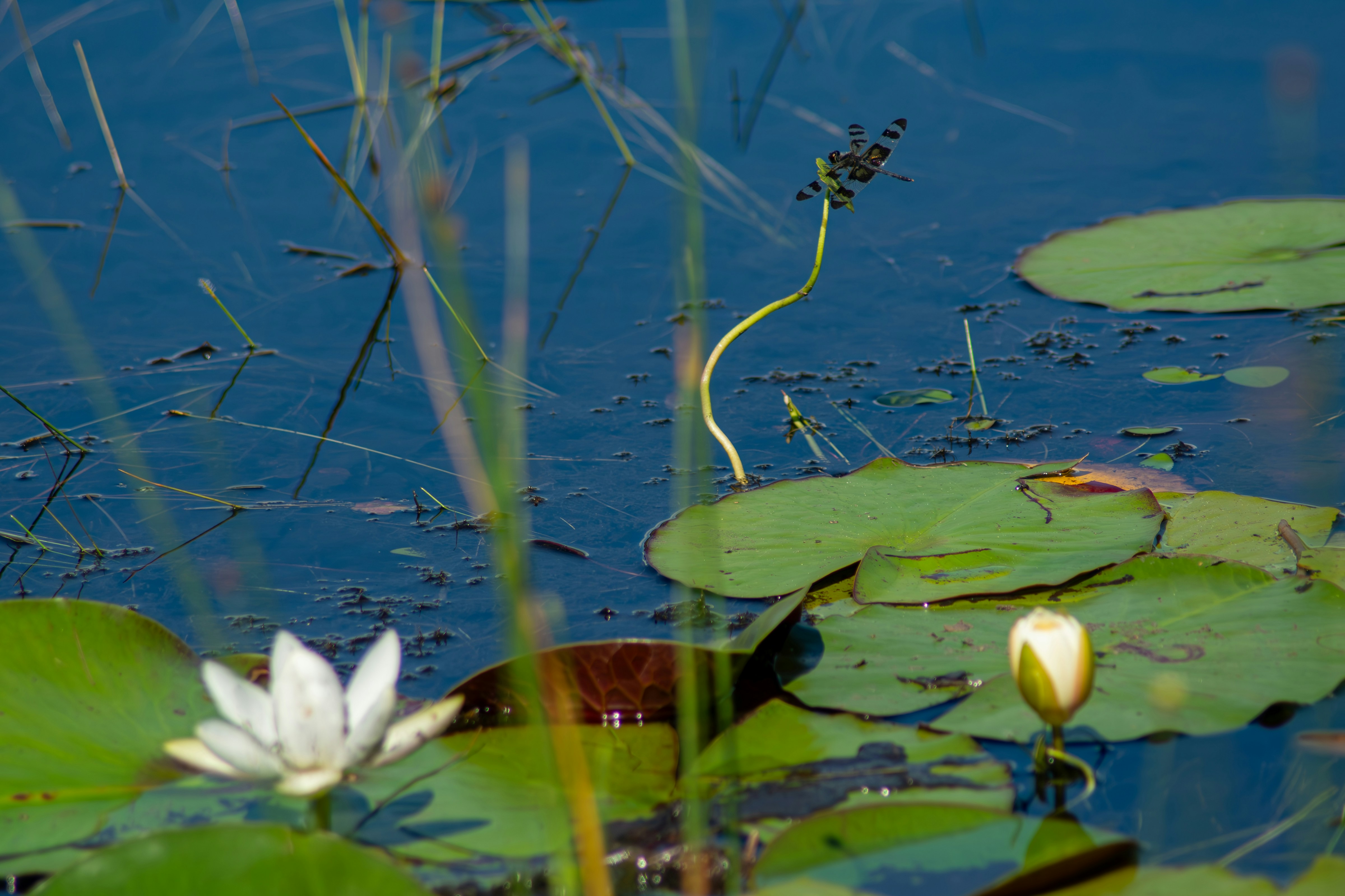 Photo by astro_civil