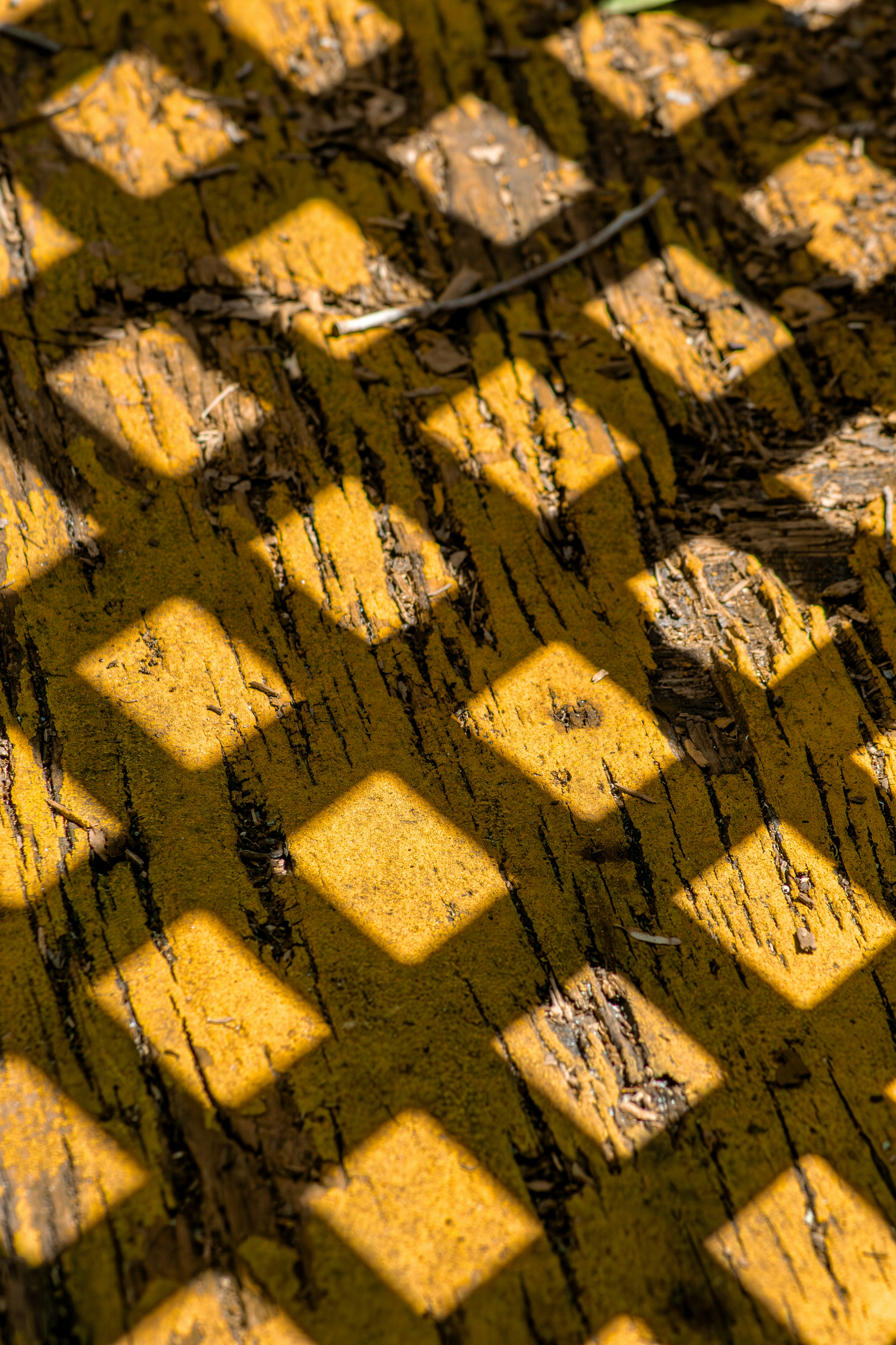 Photo by astro_civil