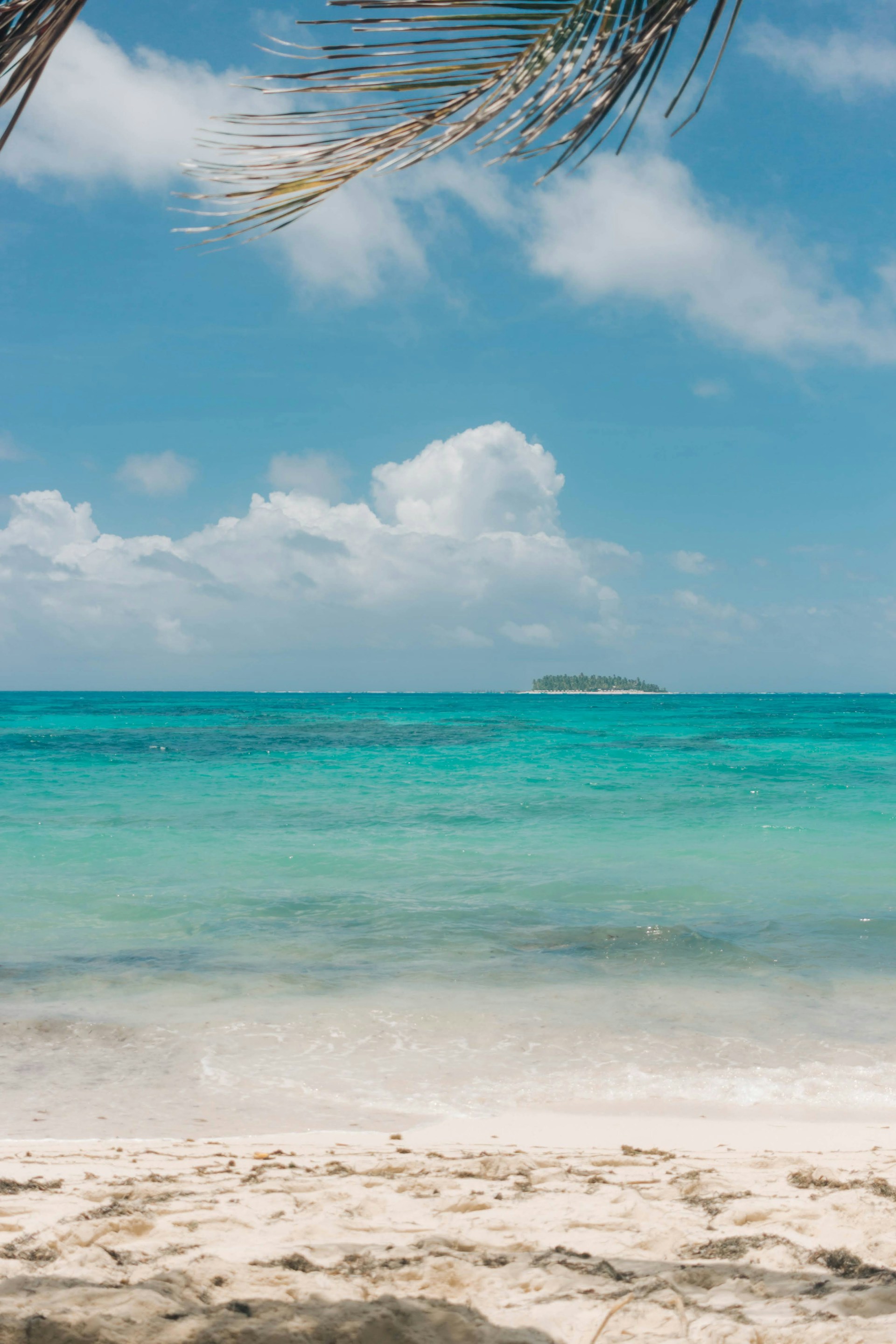 a view of the ocean from a sandy beach