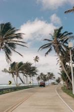 a car driving down a road surrounded by palm trees