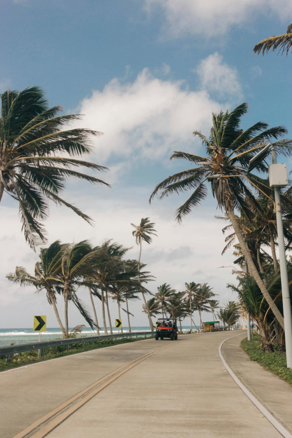 une voiture roulant sur une route entourée de palmiers