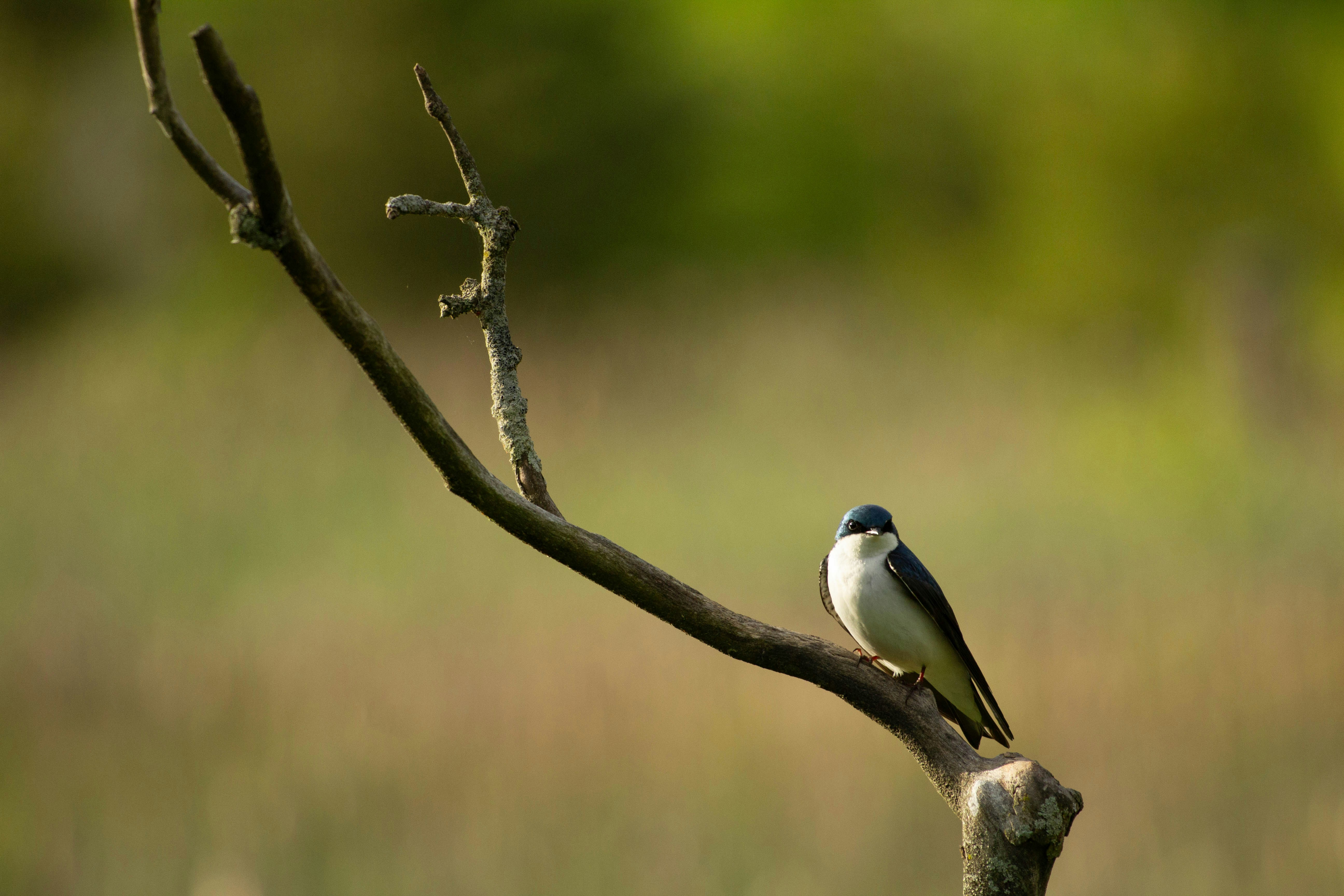 Photo by jennys_eye0