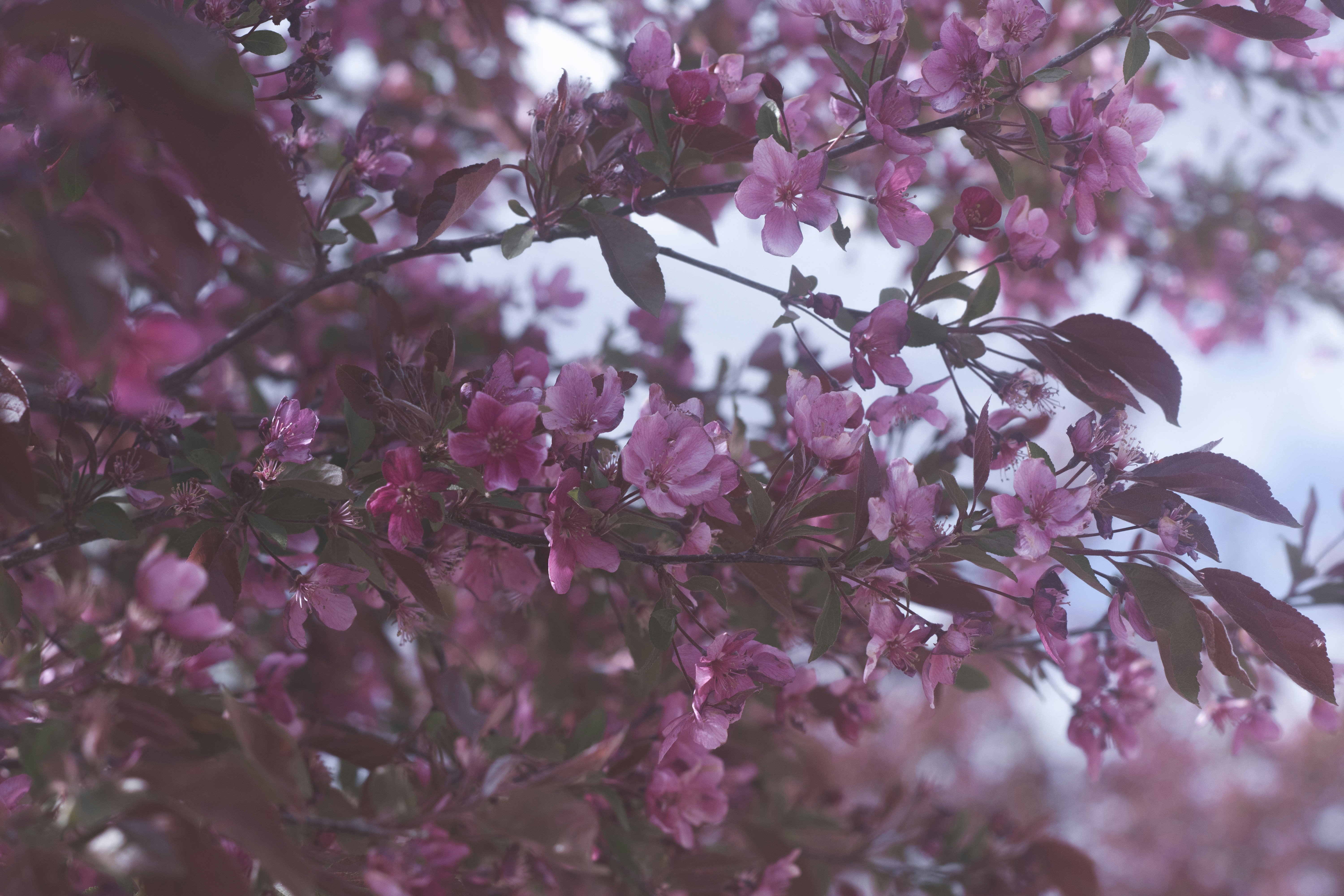 Photo by tayannphoto